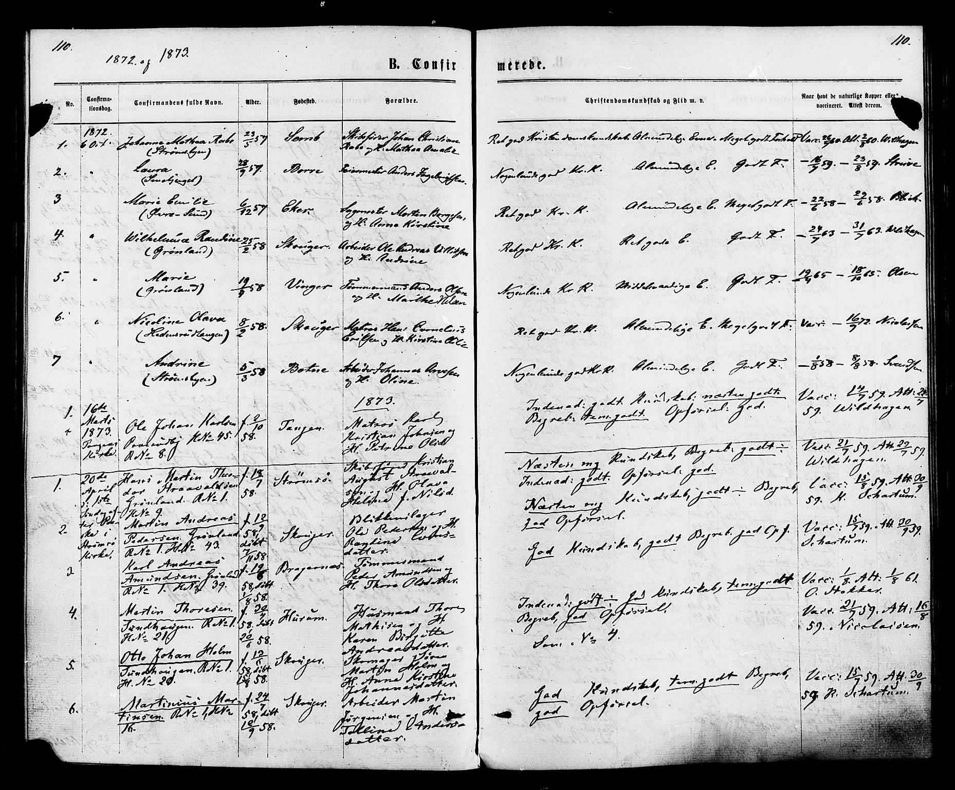 Strømsø kirkebøker, SAKO/A-246/F/Fa/L0020: Parish register (official) no. I 20, 1870-1878, p. 110