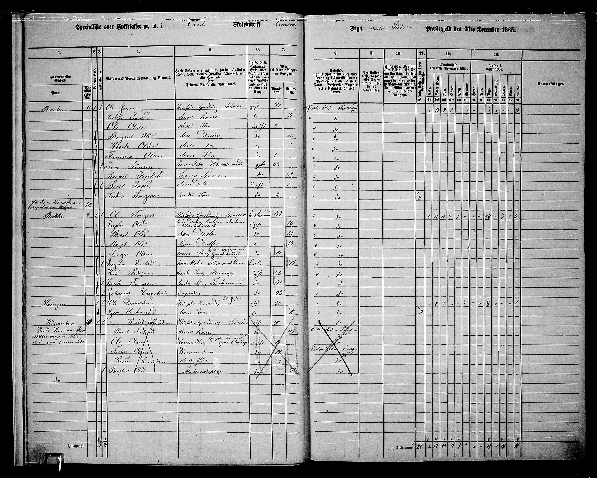 RA, 1865 census for Vestre Slidre, 1865, p. 13