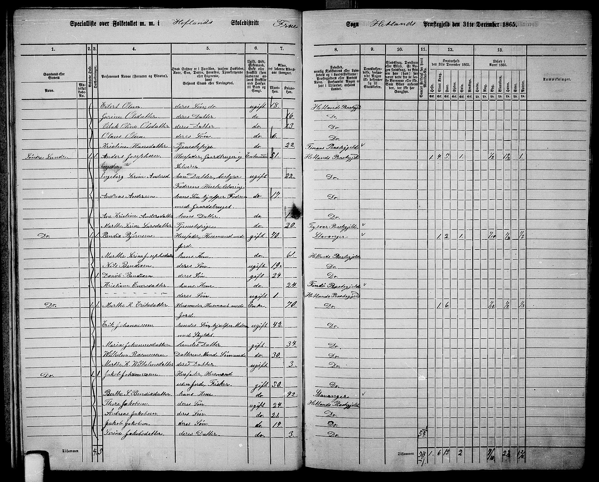 RA, 1865 census for Hetland, 1865, p. 19