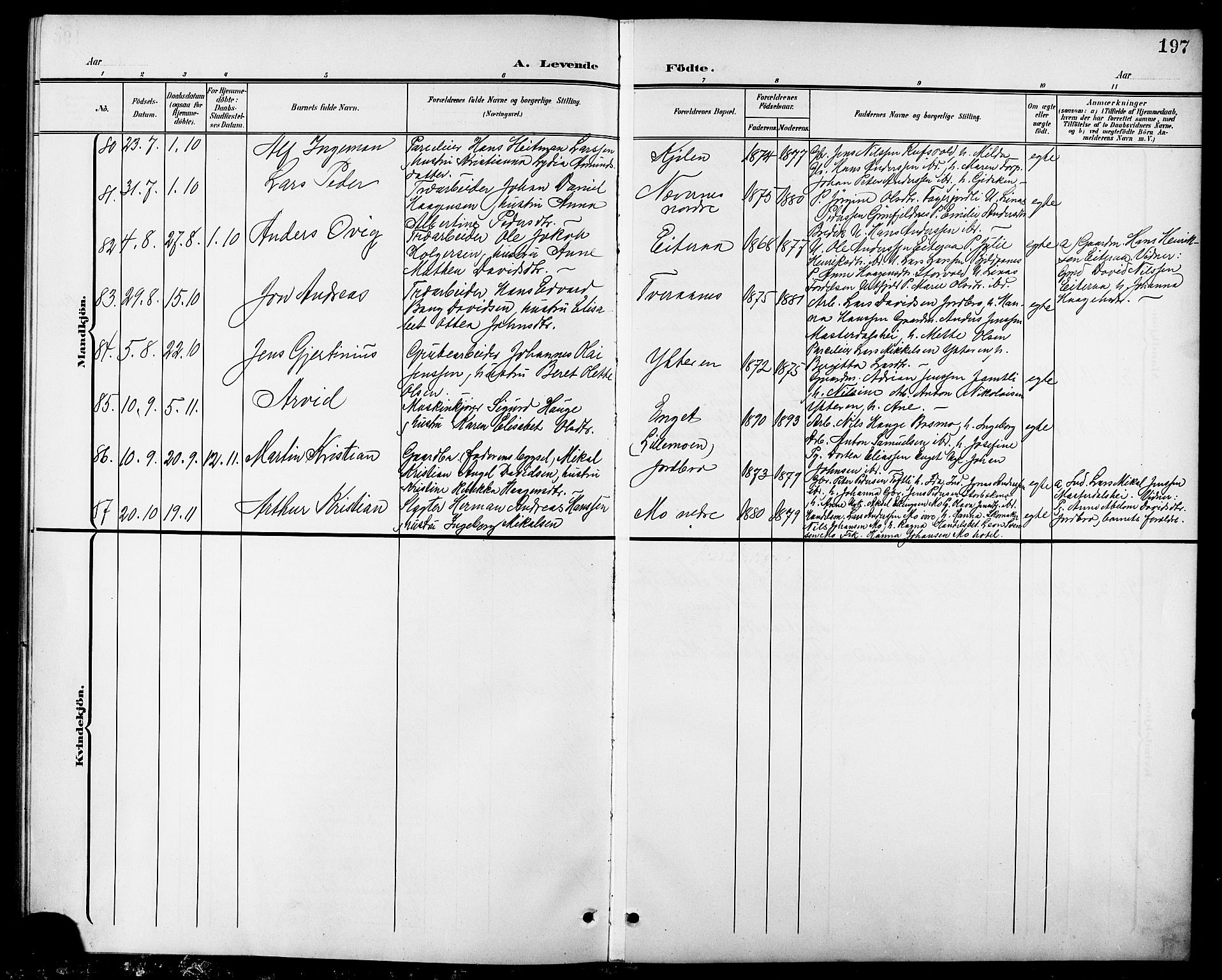 Ministerialprotokoller, klokkerbøker og fødselsregistre - Nordland, AV/SAT-A-1459/827/L0422: Parish register (copy) no. 827C11, 1899-1912, p. 197