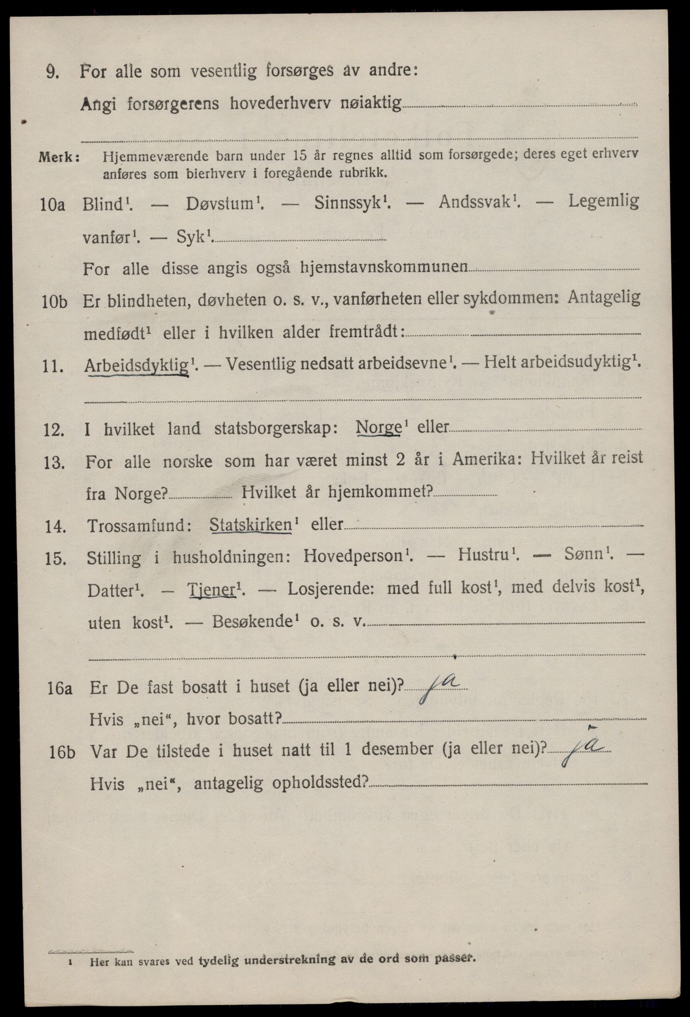 SAKO, 1920 census for Nissedal, 1920, p. 3906