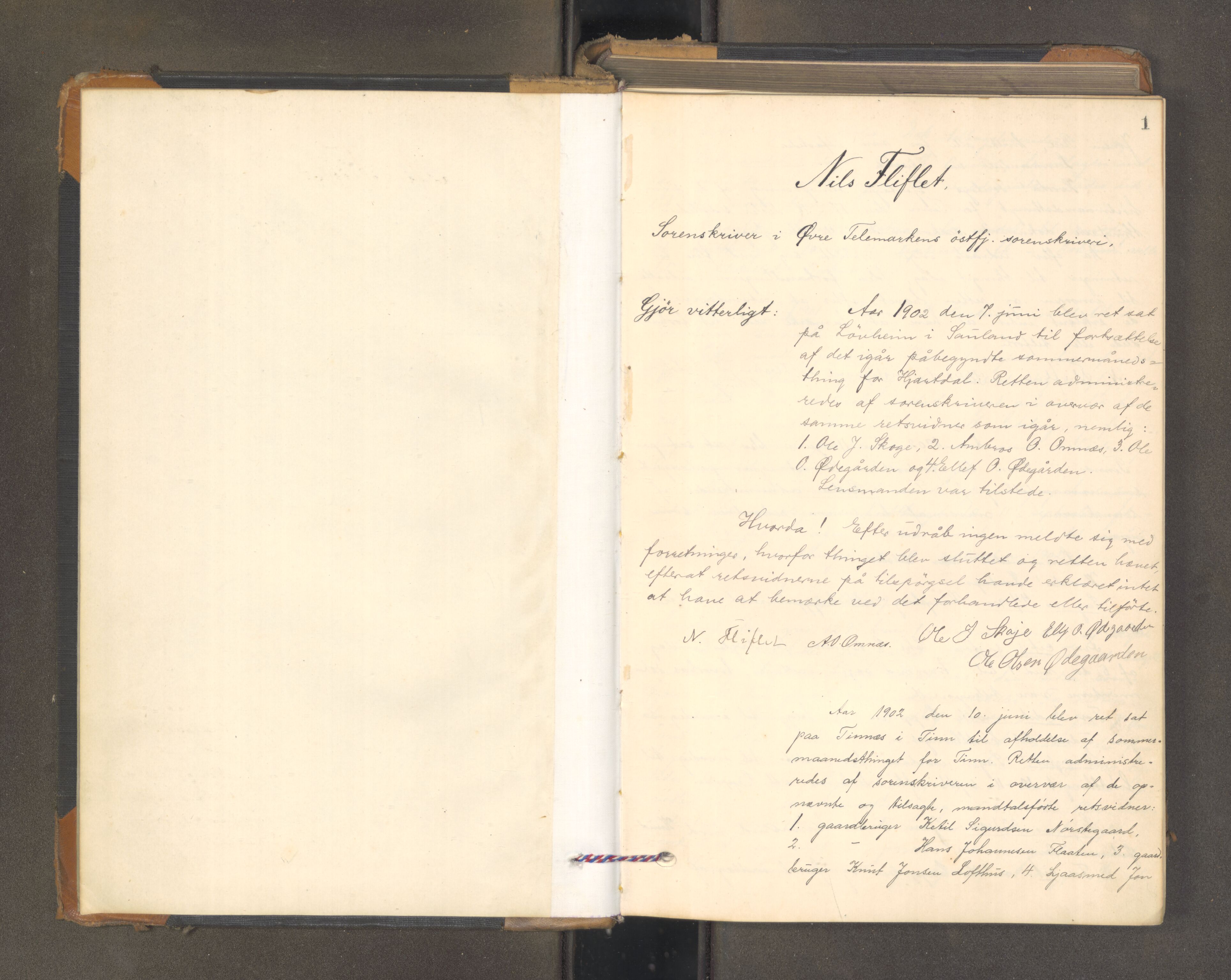 Øvre Telemark østfjelske sorenskriveri, AV/SAKO-A-213/F/Fa/Fab/L0011: Tingbok, 1902-1904, p. 1a