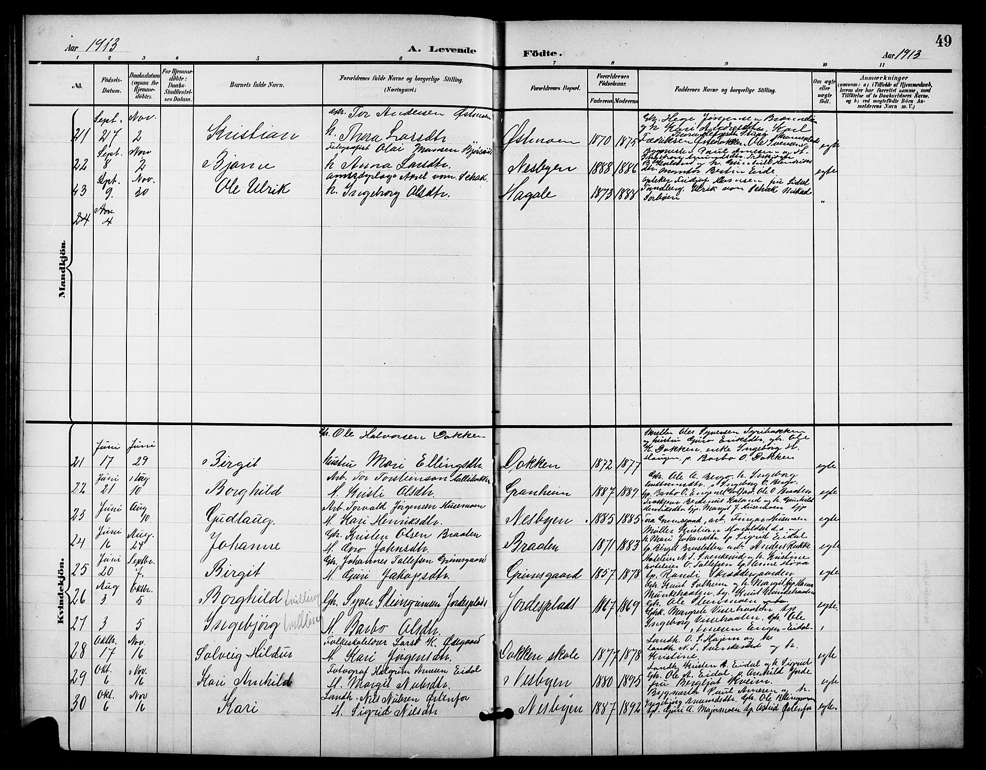 Nes kirkebøker, AV/SAKO-A-236/G/Ga/L0004: Parish register (copy) no. I 4, 1900-1925, p. 49