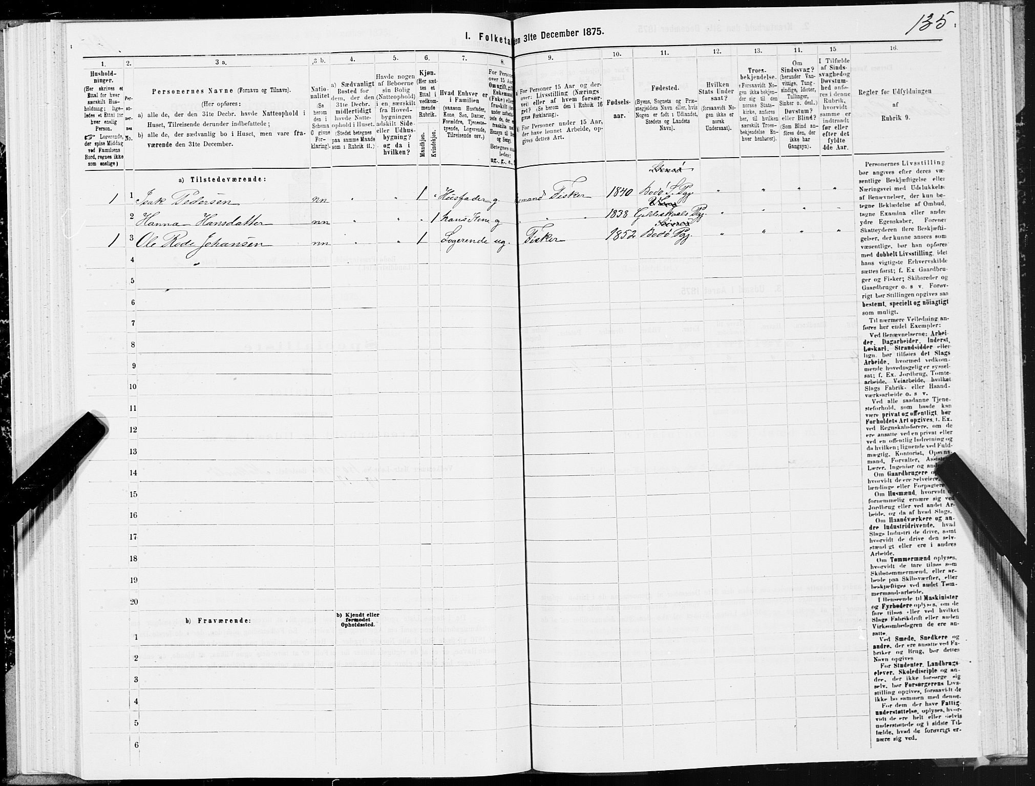 SAT, 1875 census for 1843L Bodø/Bodø, 1875, p. 3135