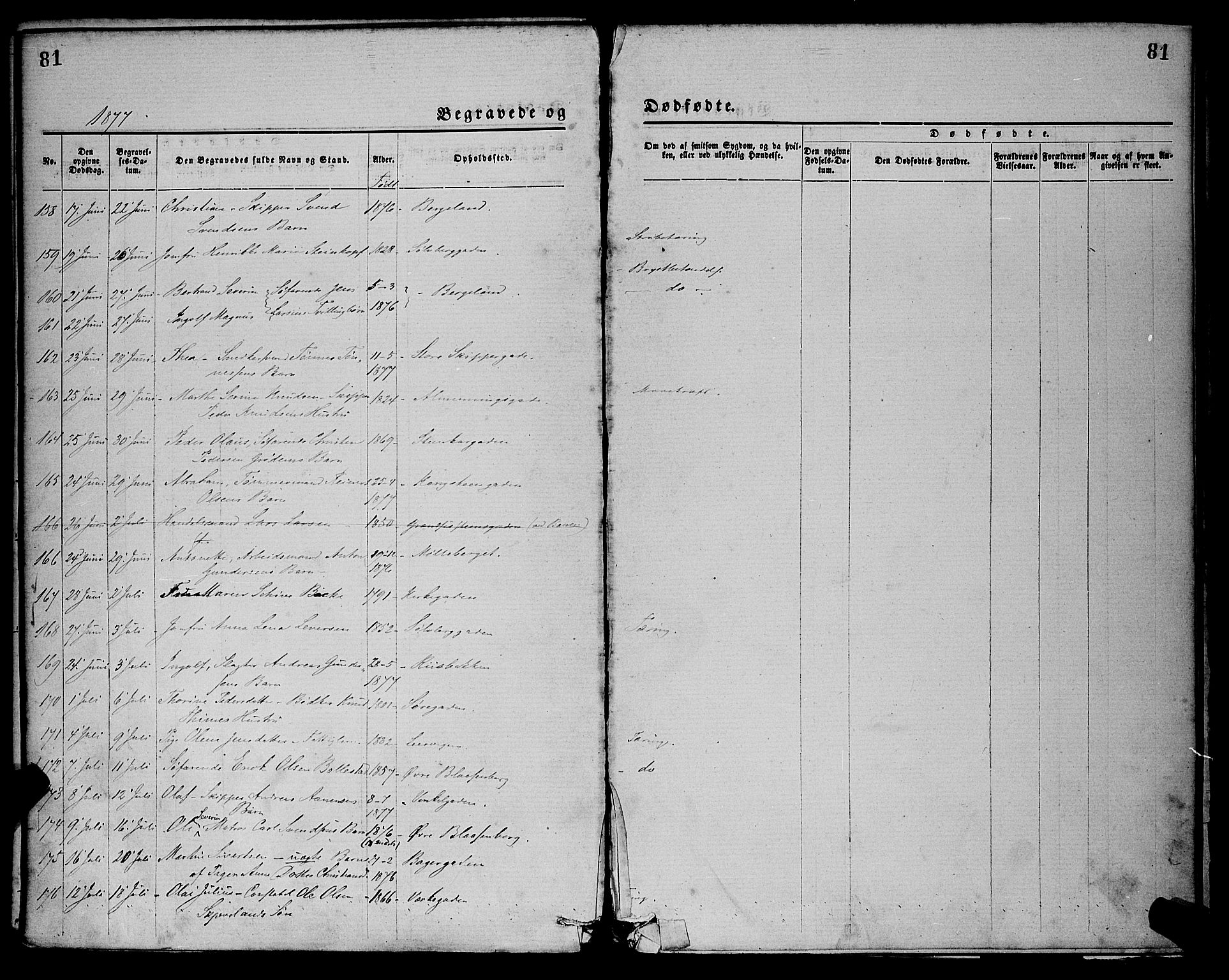 St. Petri sokneprestkontor, AV/SAST-A-101813/001/30/30BA/L0012: Parish register (official) no. A 12, 1873-1878, p. 81