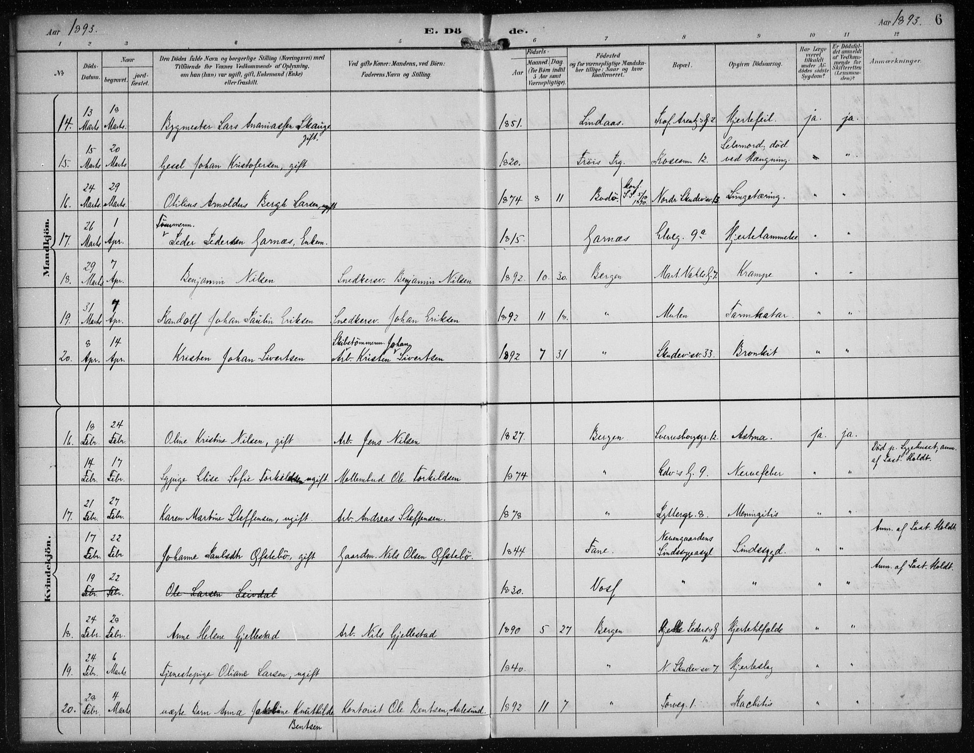 Sandviken Sokneprestembete, AV/SAB-A-77601/H/Ha/L0018: Parish register (official) no. E 1, 1893-1905, p. 6