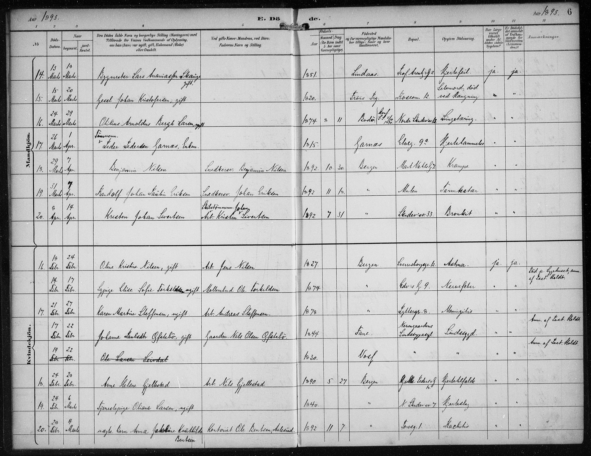 Sandviken Sokneprestembete, AV/SAB-A-77601/H/Ha/L0018: Parish register (official) no. E 1, 1893-1905, p. 6