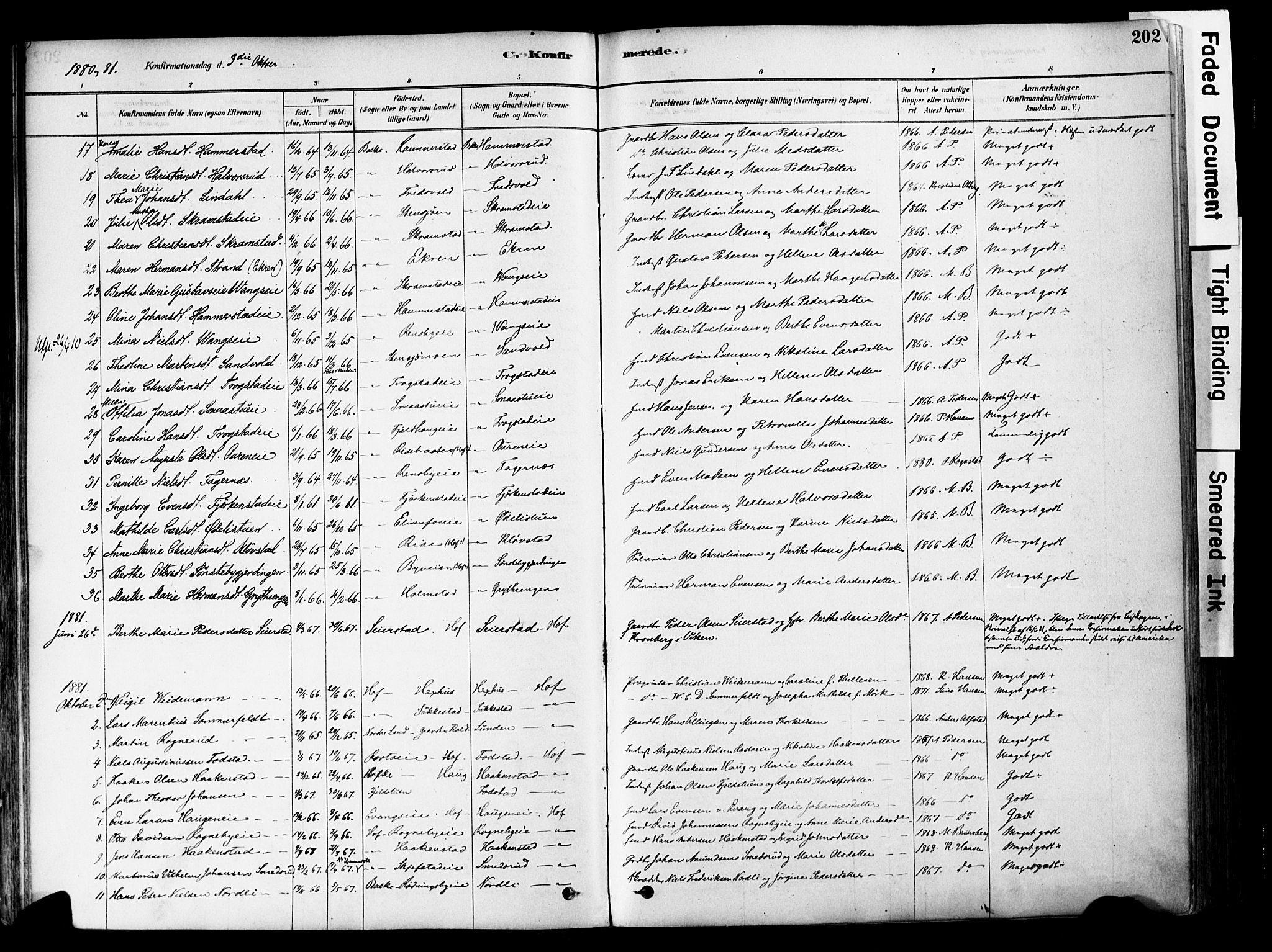 Østre Toten prestekontor, SAH/PREST-104/H/Ha/Haa/L0006: Parish register (official) no. 6 /1, 1878-1896, p. 202