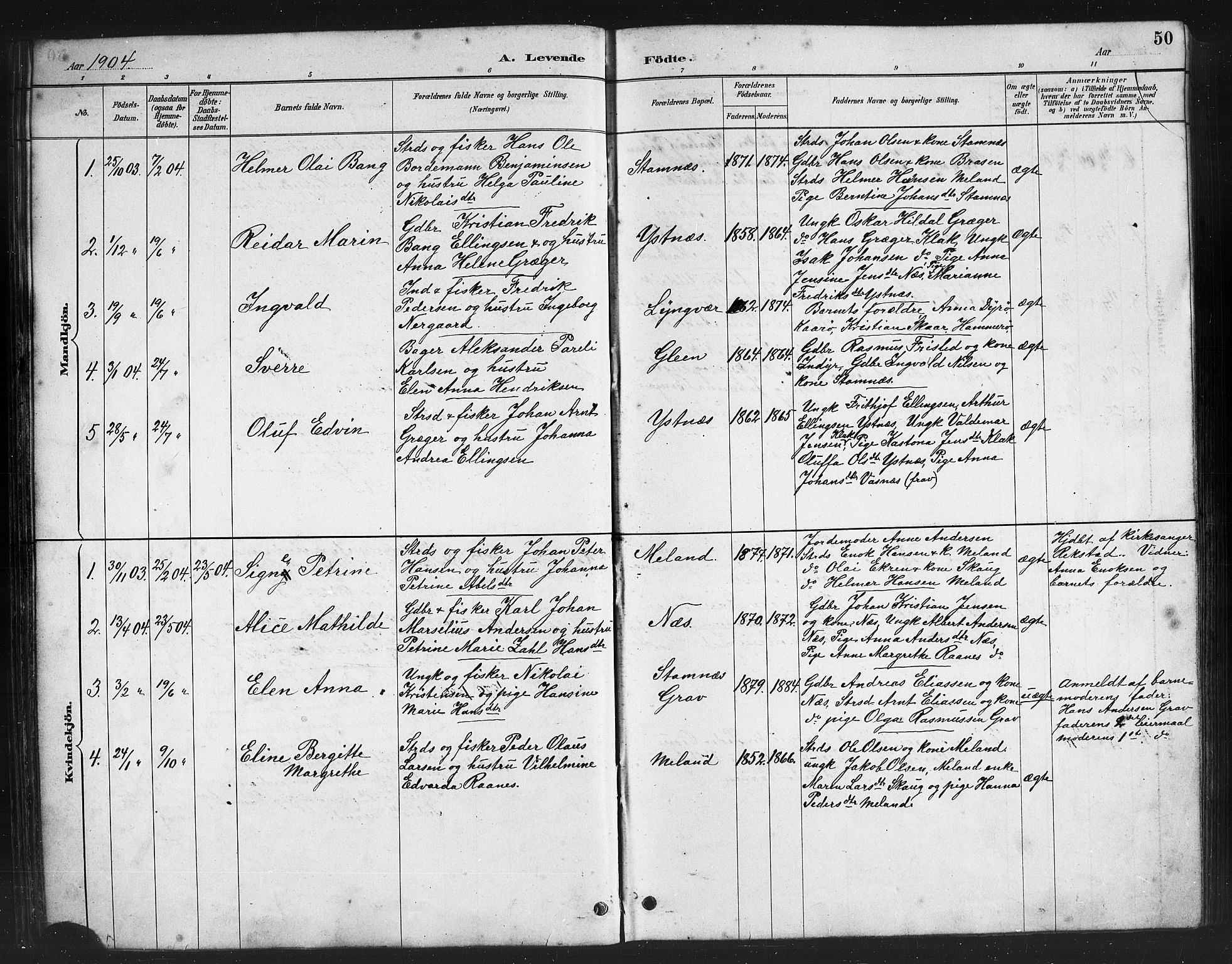 Ministerialprotokoller, klokkerbøker og fødselsregistre - Nordland, AV/SAT-A-1459/808/L0131: Parish register (copy) no. 808C02, 1879-1919, p. 50