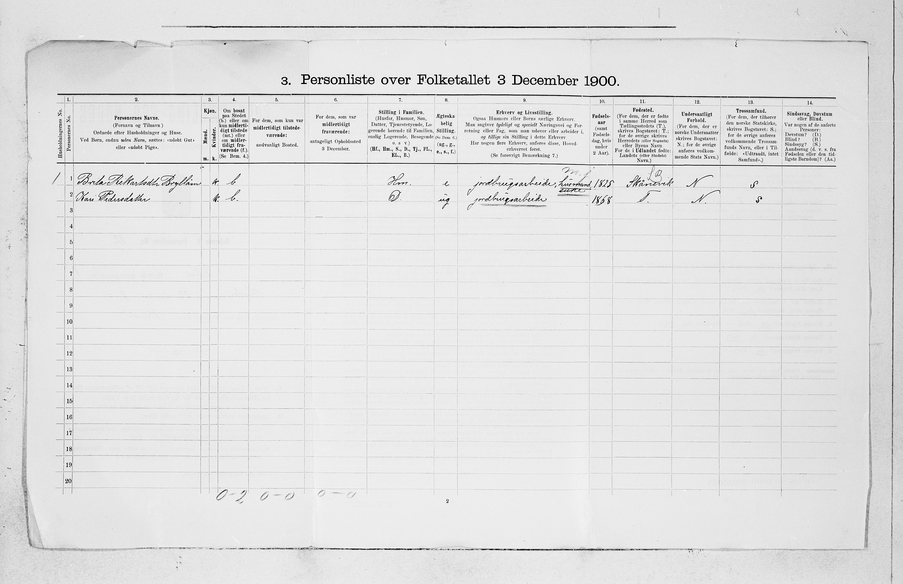 SAB, 1900 census for Etne, 1900, p. 41