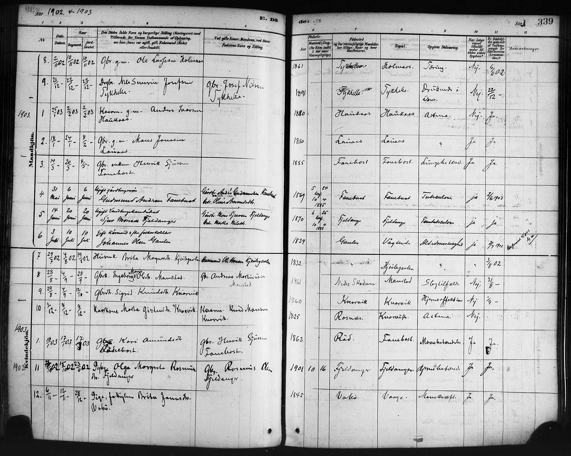 Lindås Sokneprestembete, AV/SAB-A-76701/H/Haa/Haaa/L0019: Parish register (official) no. A 19, 1878-1912, p. 339