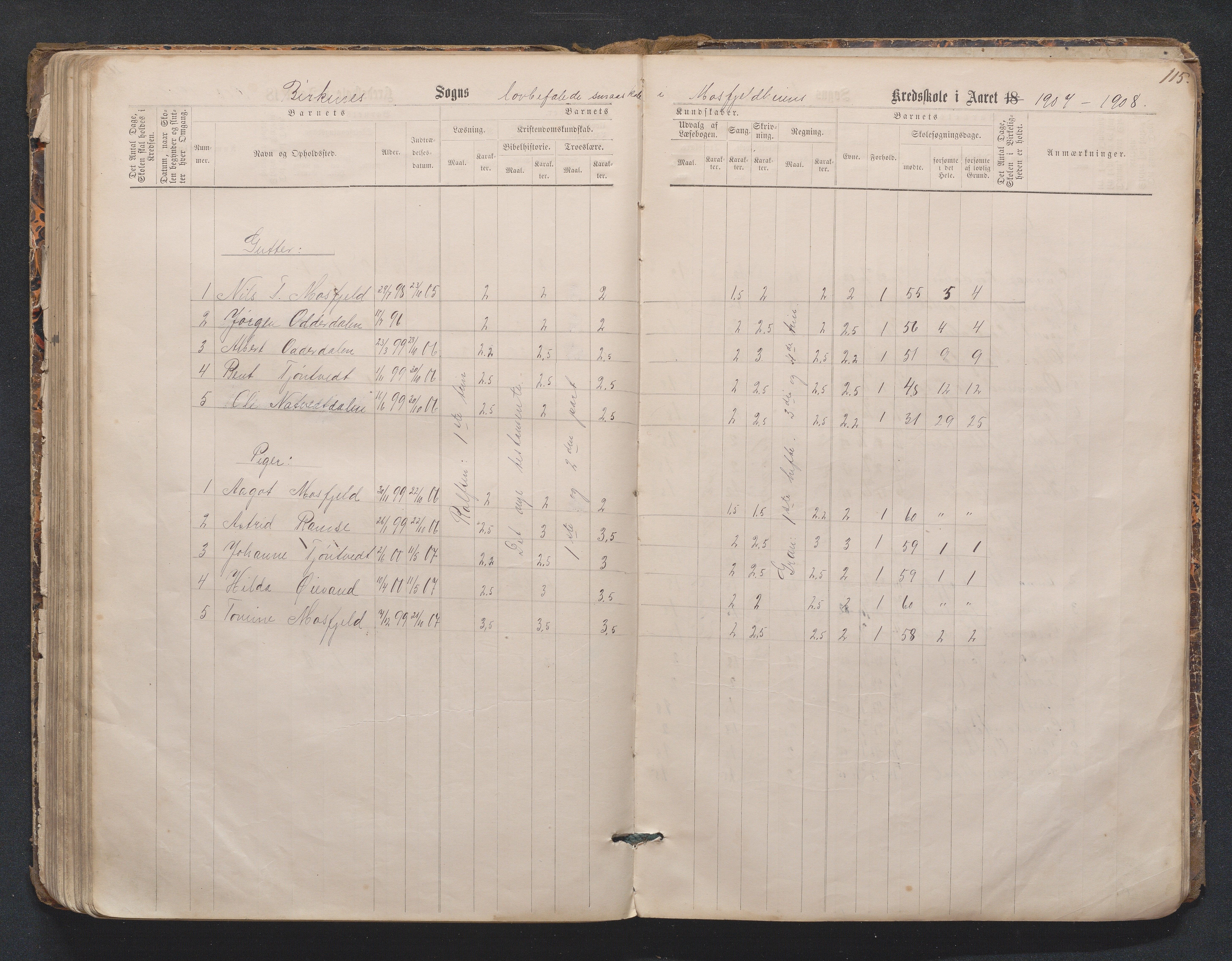 Birkenes kommune, Mosfjell skolekrets, AAKS/KA0928-550f_91/F02/L0001: Skoleprotokoll Flå og Mosfjell, 1867-1909, p. 115