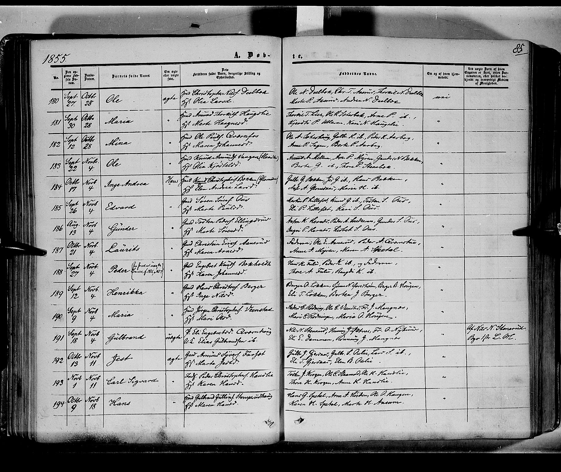 Sør-Odal prestekontor, AV/SAH-PREST-030/H/Ha/Haa/L0001: Parish register (official) no. 1, 1849-1859, p. 85