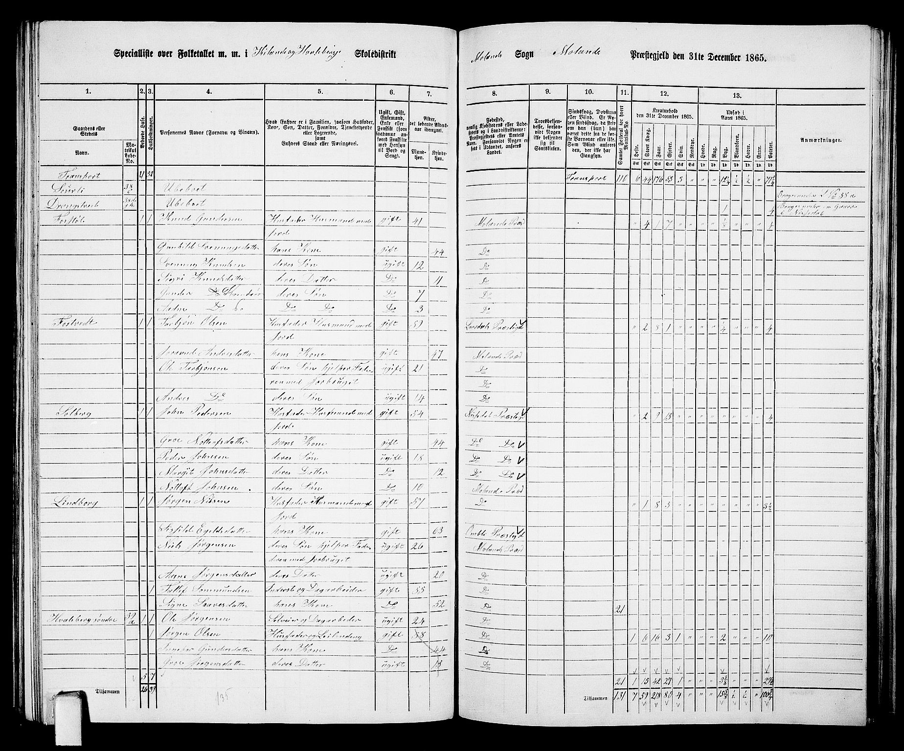 RA, 1865 census for Moland, 1865, p. 31