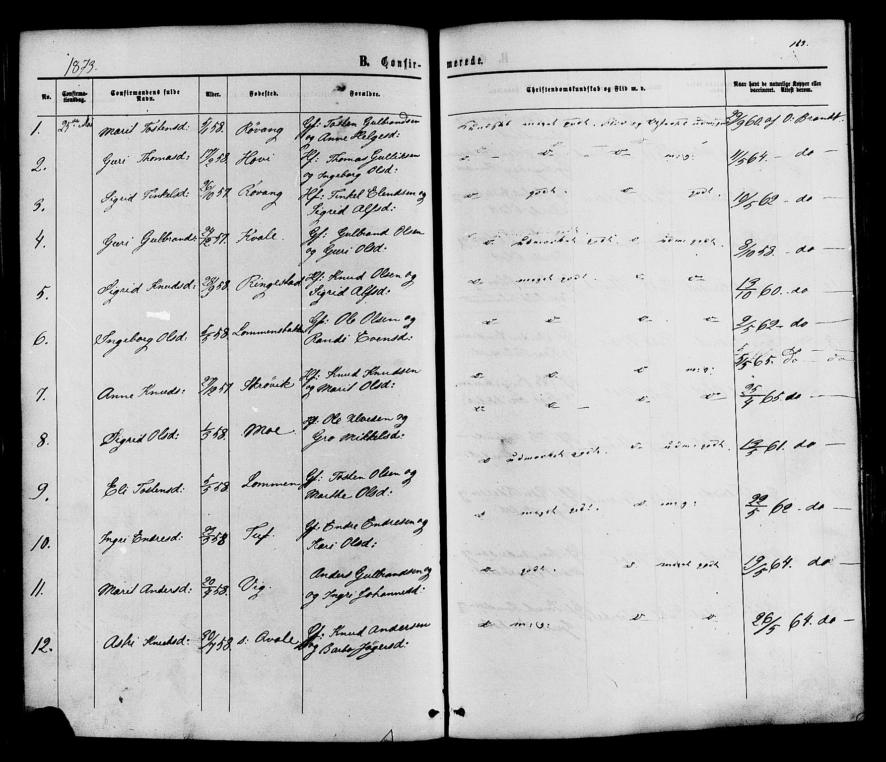 Vestre Slidre prestekontor, AV/SAH-PREST-136/H/Ha/Haa/L0003: Parish register (official) no. 3, 1865-1880, p. 163