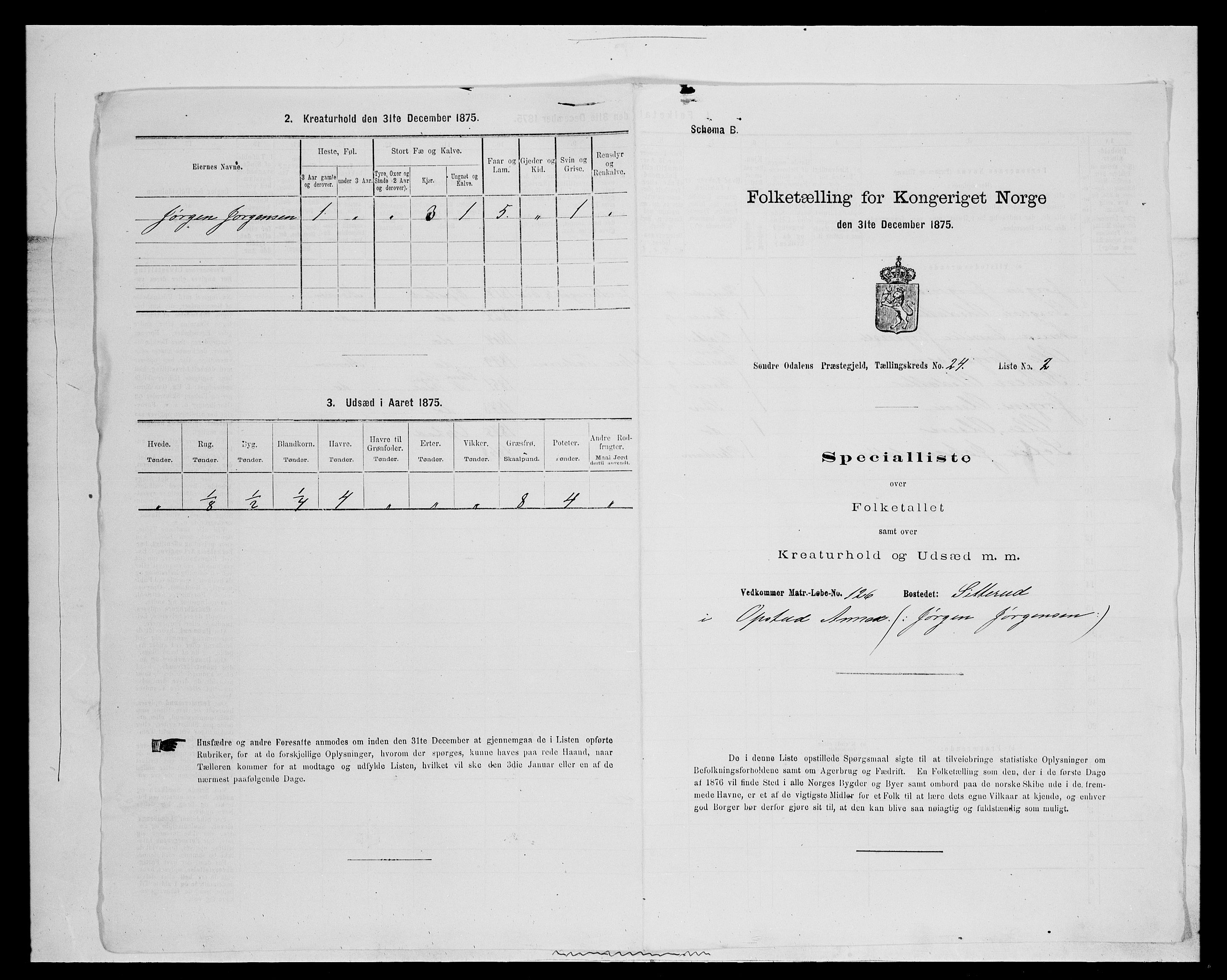 SAH, 1875 census for 0419P Sør-Odal, 1875, p. 2023