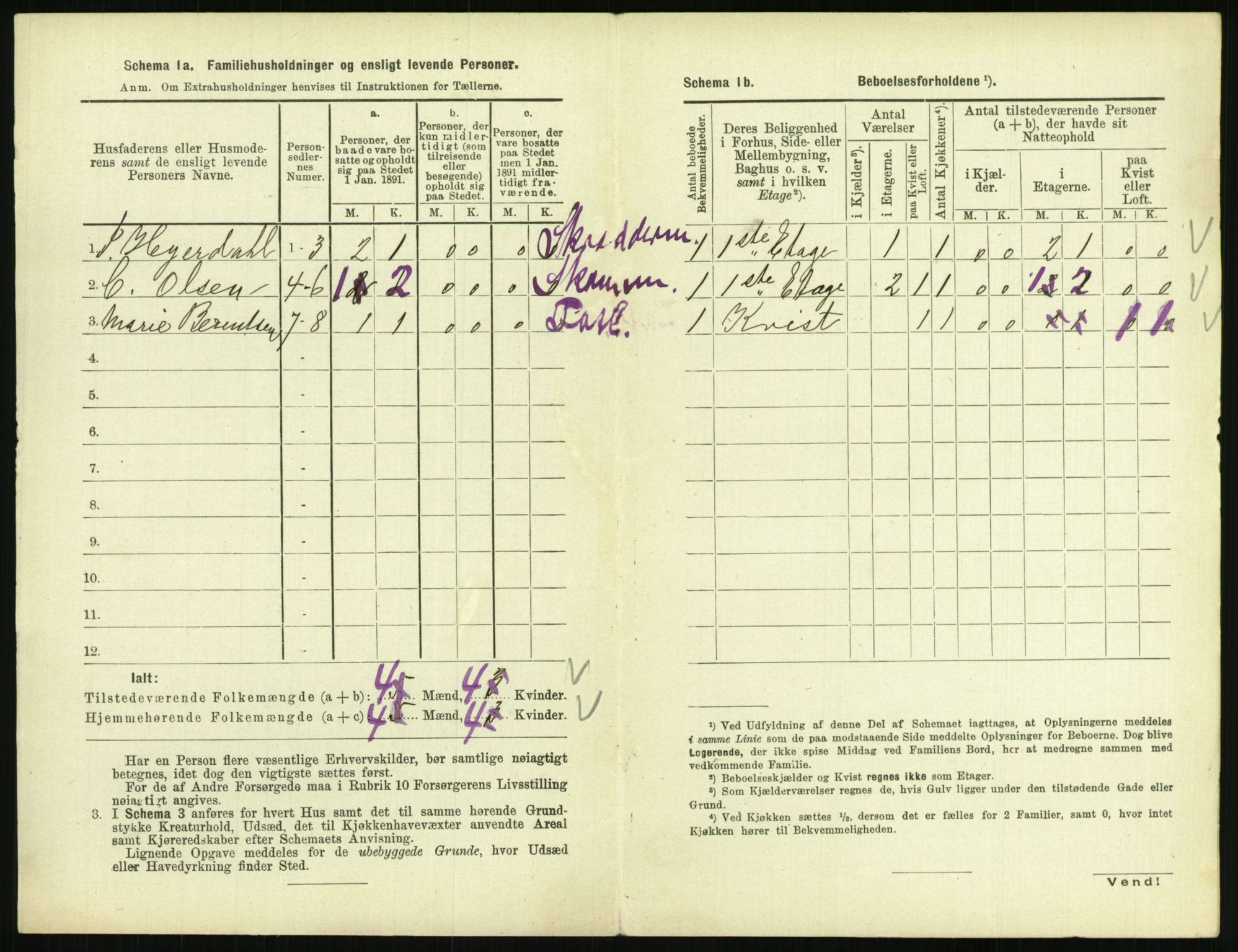 RA, 1891 census for 0801 Kragerø, 1891, p. 697