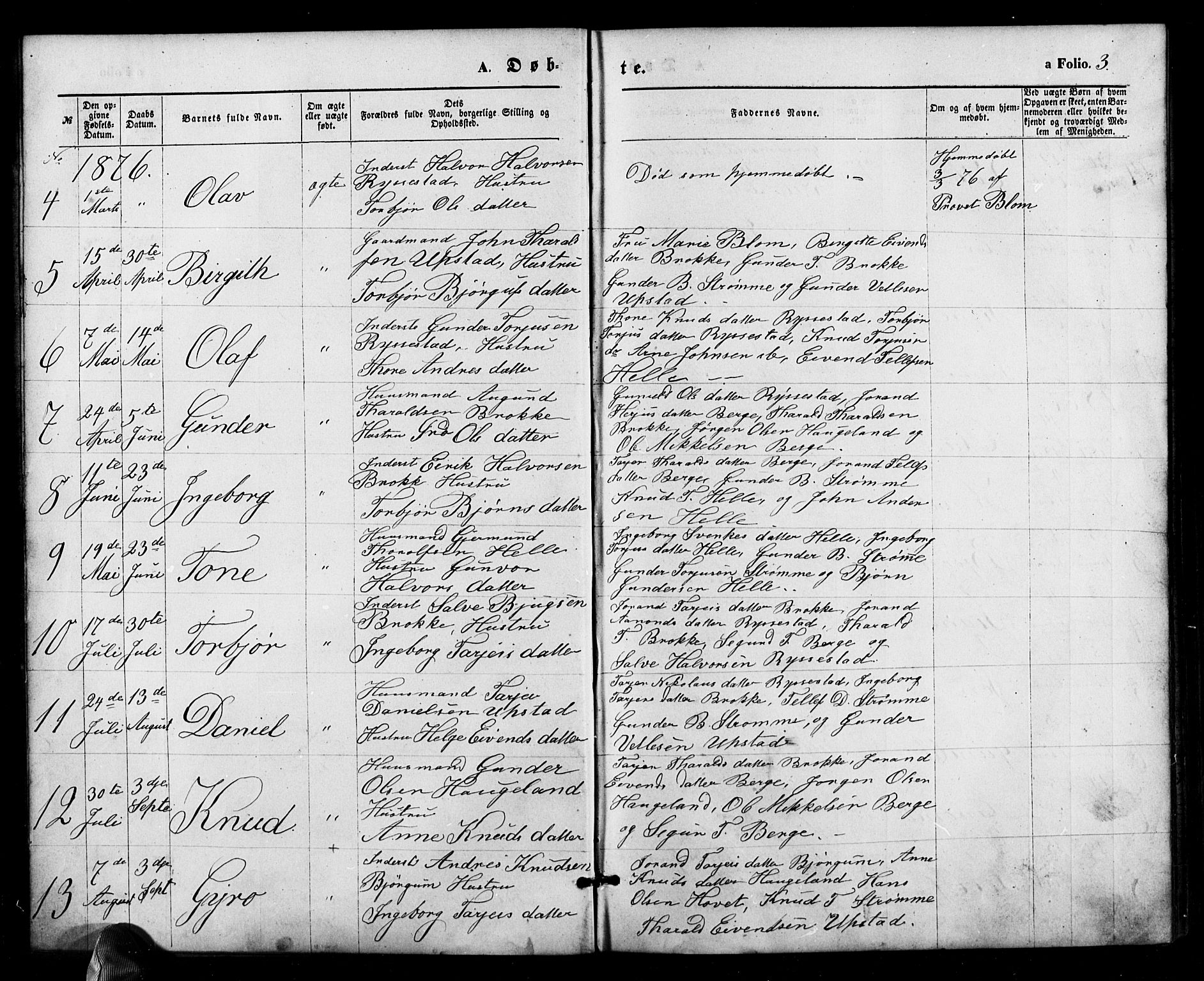 Valle sokneprestkontor, SAK/1111-0044/F/Fb/Fbb/L0002: Parish register (copy) no. B 2, 1875-1921, p. 3