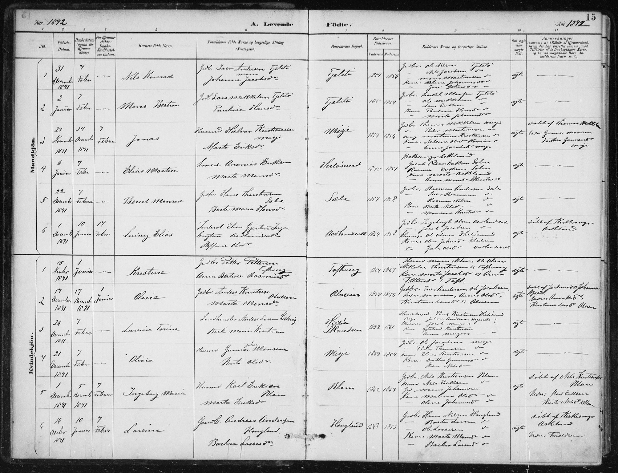 Herdla Sokneprestembete, AV/SAB-A-75701/H/Haa: Parish register (official) no. A 4, 1891-1905, p. 15