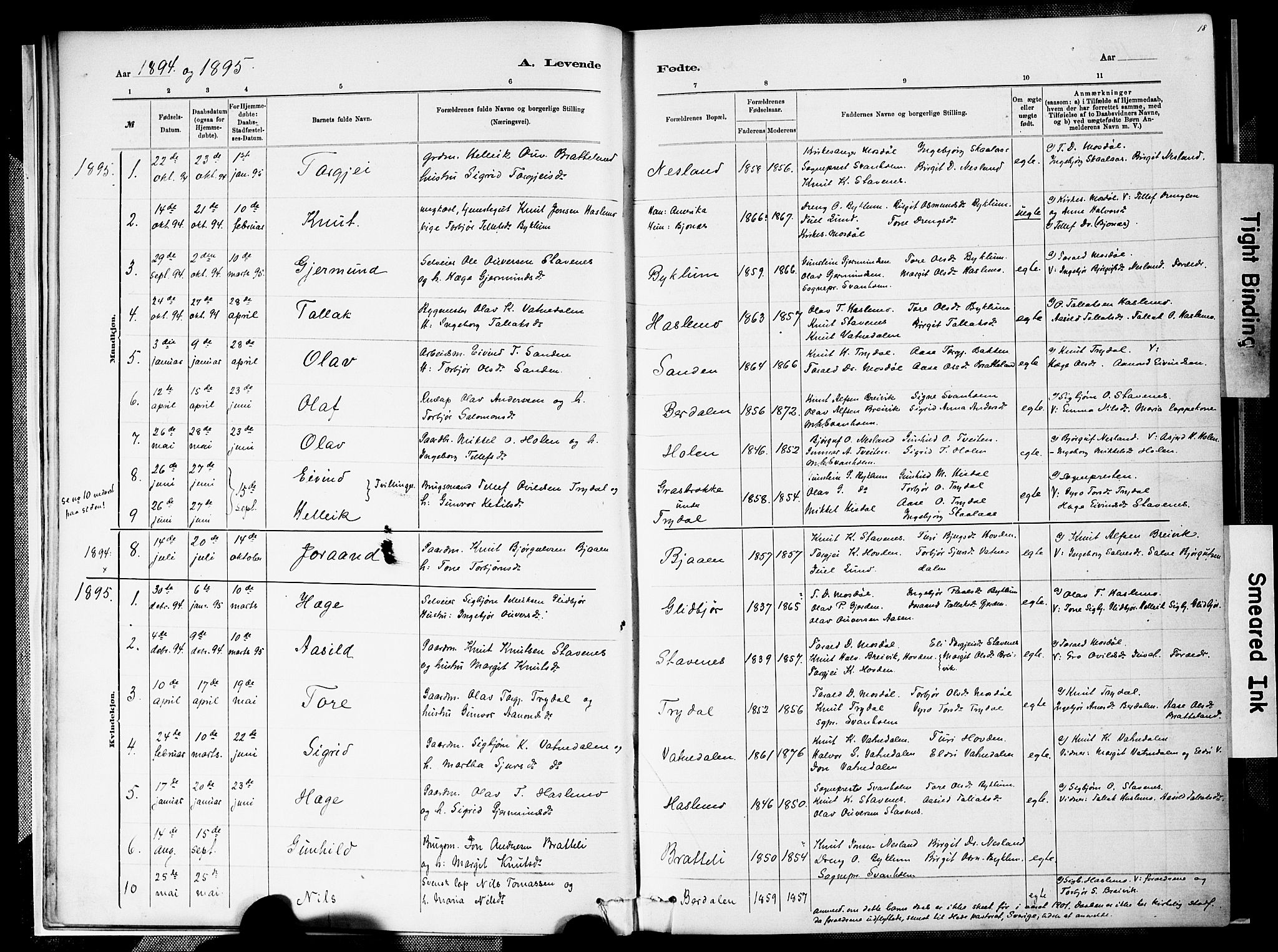 Valle sokneprestkontor, AV/SAK-1111-0044/F/Fa/Faa/L0001: Parish register (official) no. A 1, 1882-1907, p. 18
