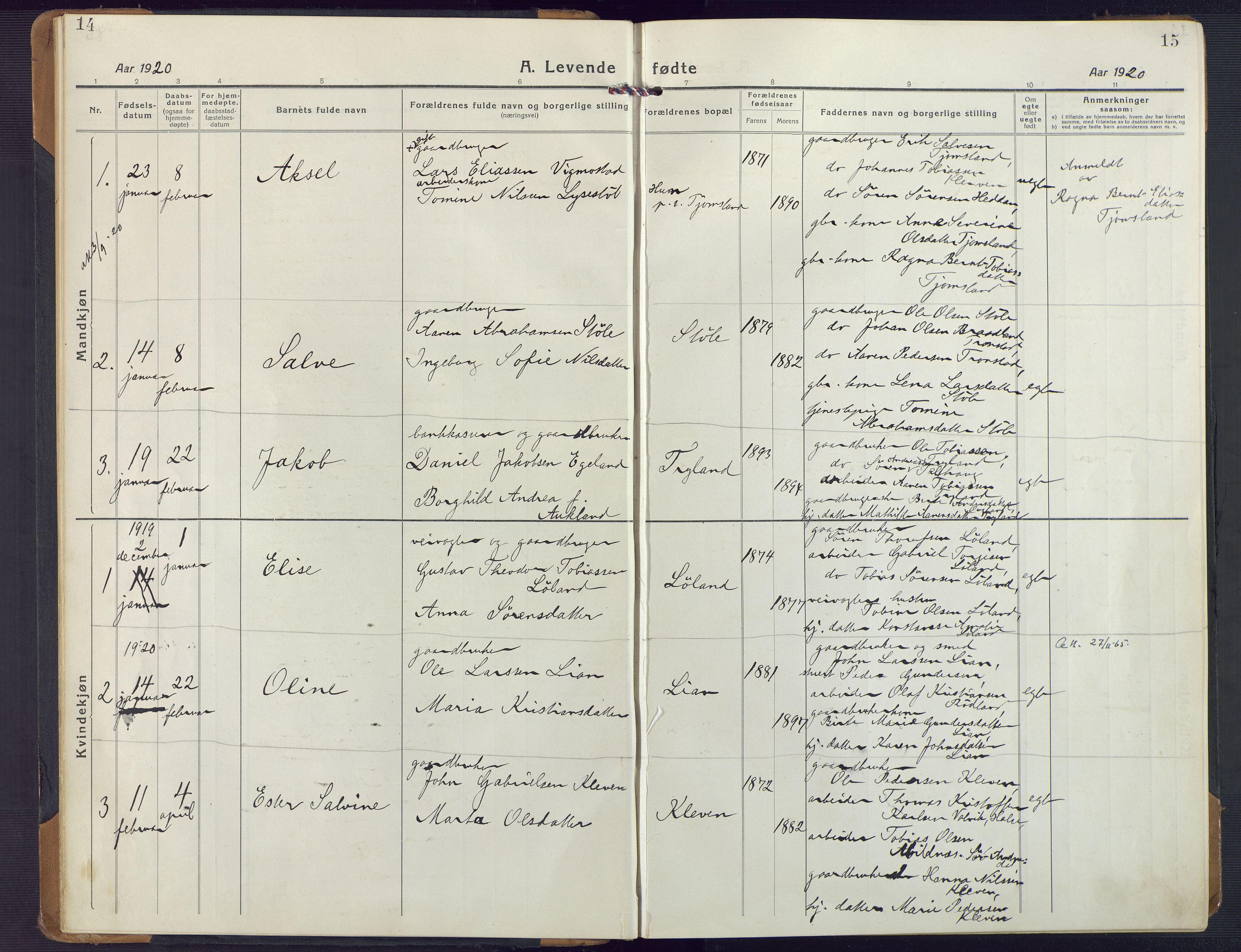 Nord-Audnedal sokneprestkontor, SAK/1111-0032/F/Fa/Fab/L0005: Parish register (official) no. A 5, 1918-1925, p. 14-15