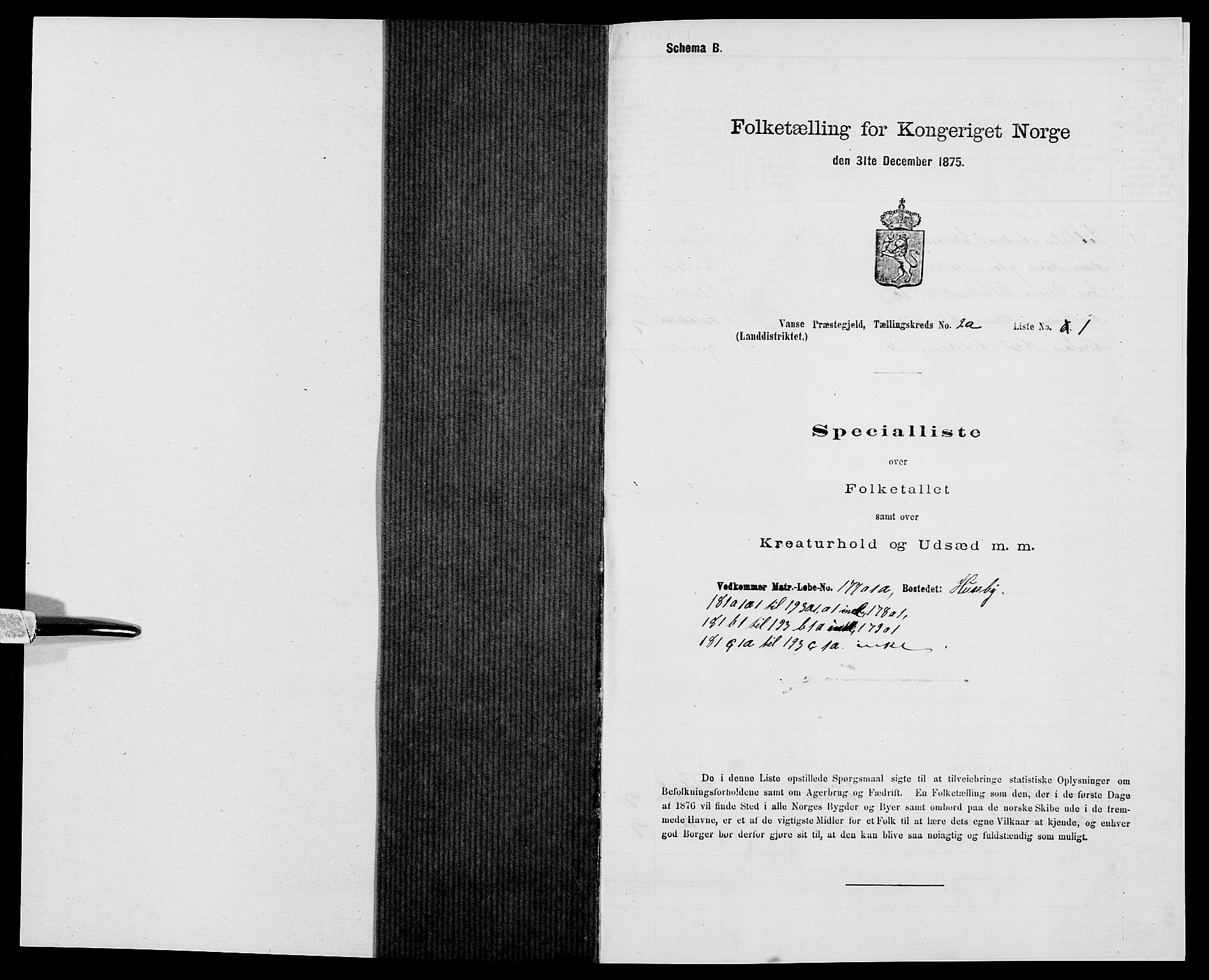 SAK, 1875 census for 1041L Vanse/Vanse og Farsund, 1875, p. 300