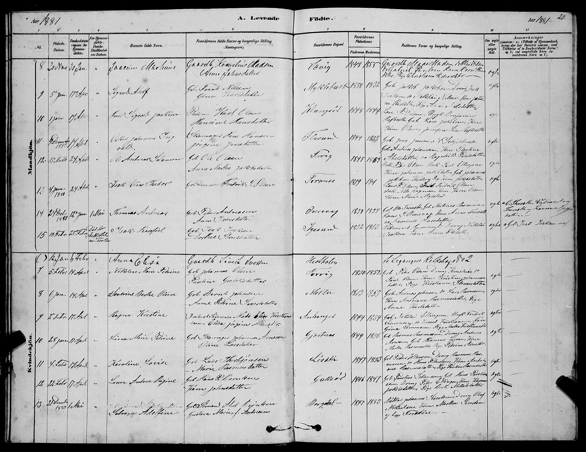 Ministerialprotokoller, klokkerbøker og fødselsregistre - Møre og Romsdal, AV/SAT-A-1454/507/L0081: Parish register (copy) no. 507C04, 1878-1898, p. 20