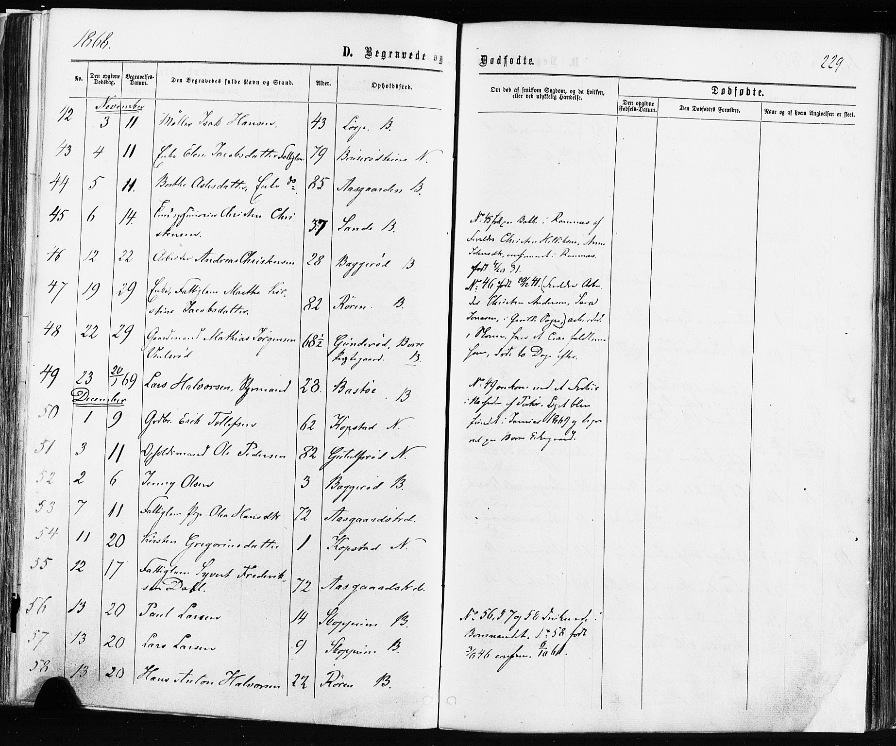 Borre kirkebøker, AV/SAKO-A-338/F/Fa/L0008: Parish register (official) no. I 8, 1868-1877, p. 229