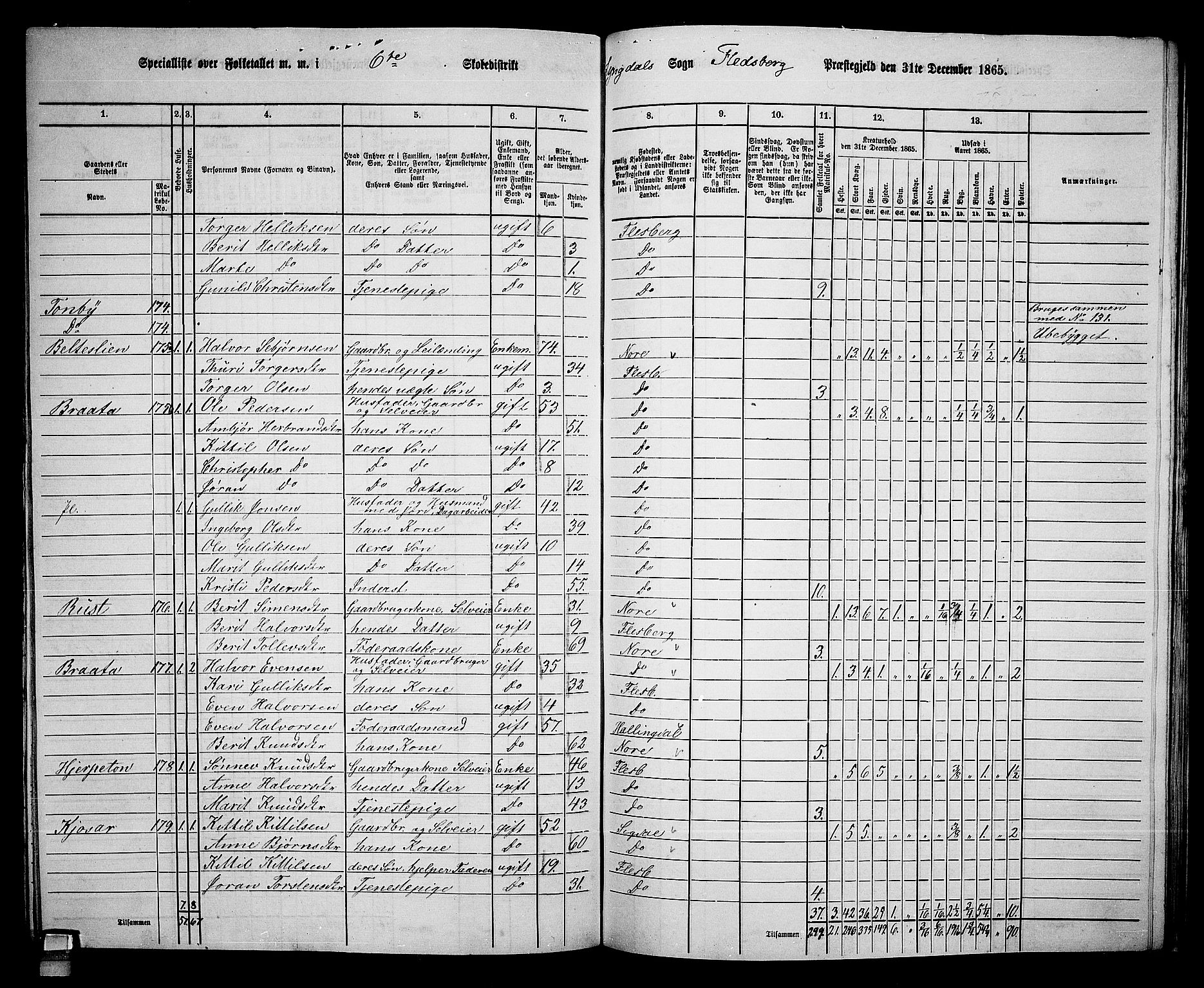 RA, 1865 census for Flesberg, 1865, p. 118