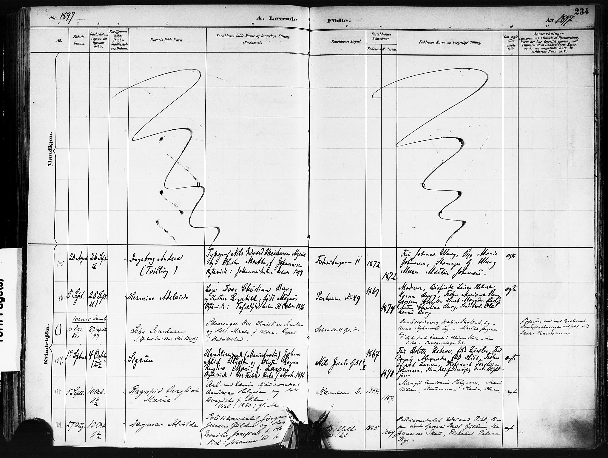 Trefoldighet prestekontor Kirkebøker, AV/SAO-A-10882/F/Fa/L0006: Parish register (official) no. I 6, 1891-1899, p. 234