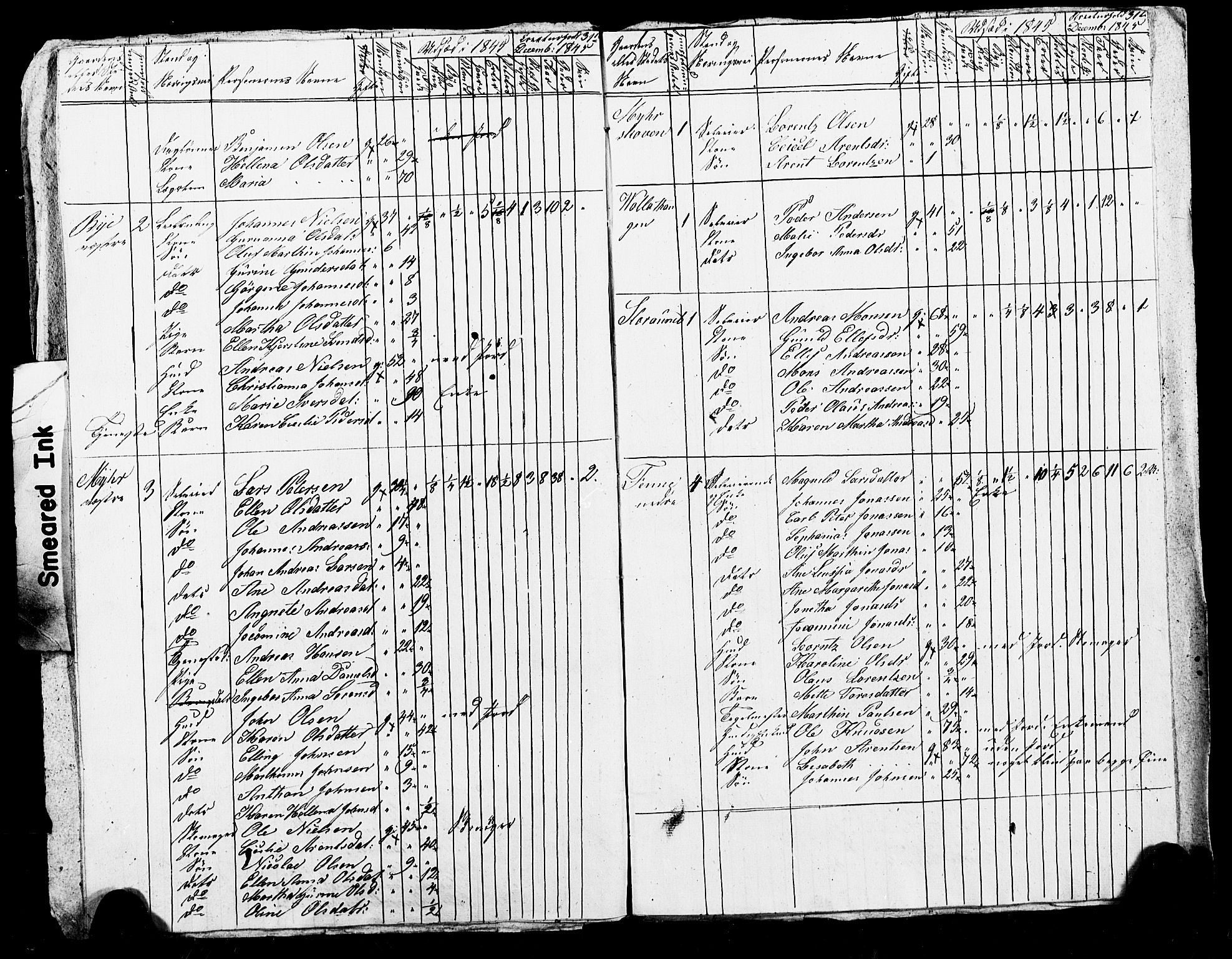 , Census 1845 for Skogn, 1845, p. 8