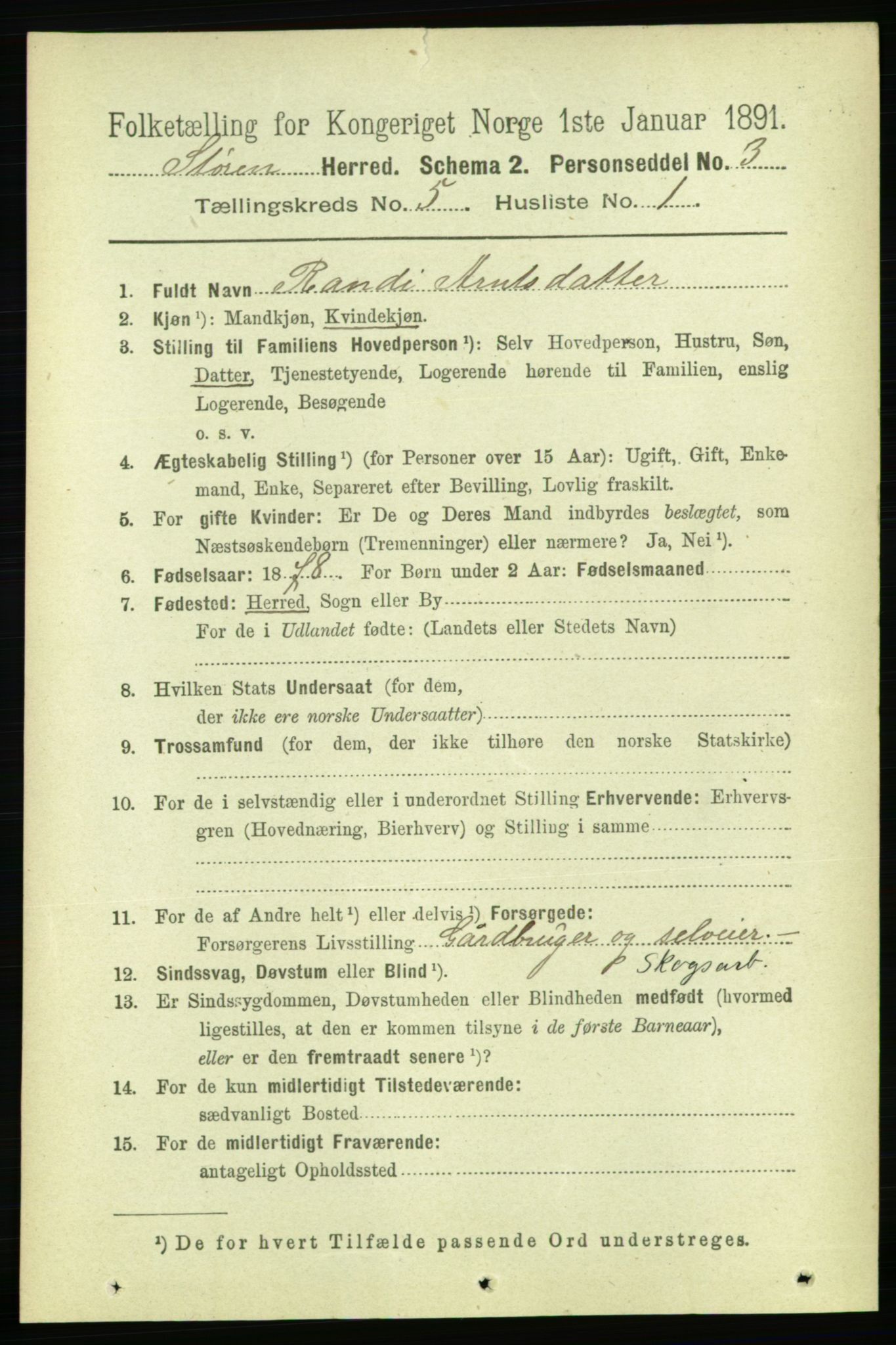 RA, 1891 census for 1648 Støren, 1891, p. 1932