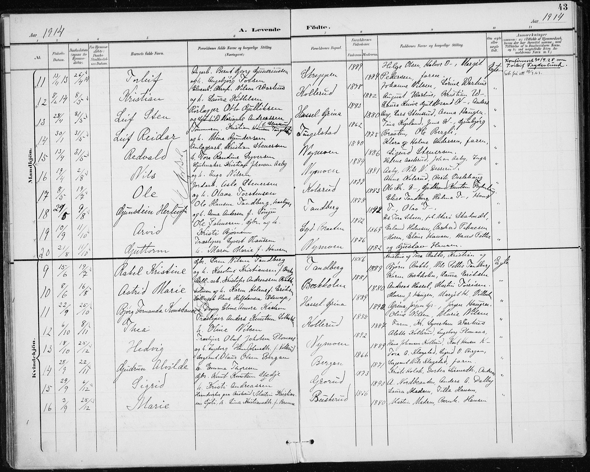 Modum kirkebøker, AV/SAKO-A-234/F/Fa/L0017: Parish register (official) no. 17, 1900-1915, p. 43