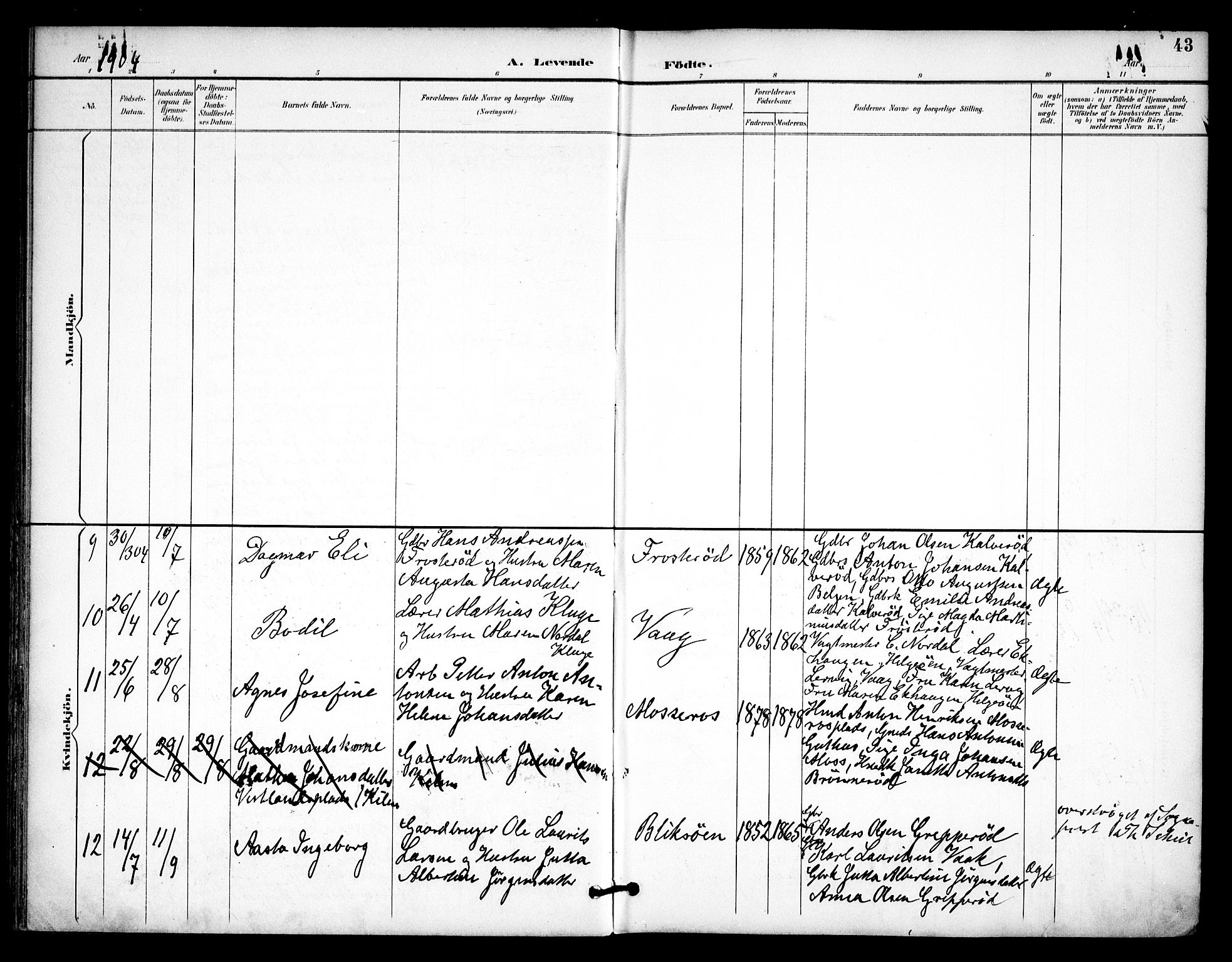 Våler prestekontor Kirkebøker, AV/SAO-A-11083/F/Fa/L0011: Parish register (official) no. I 11, 1893-1909, p. 43