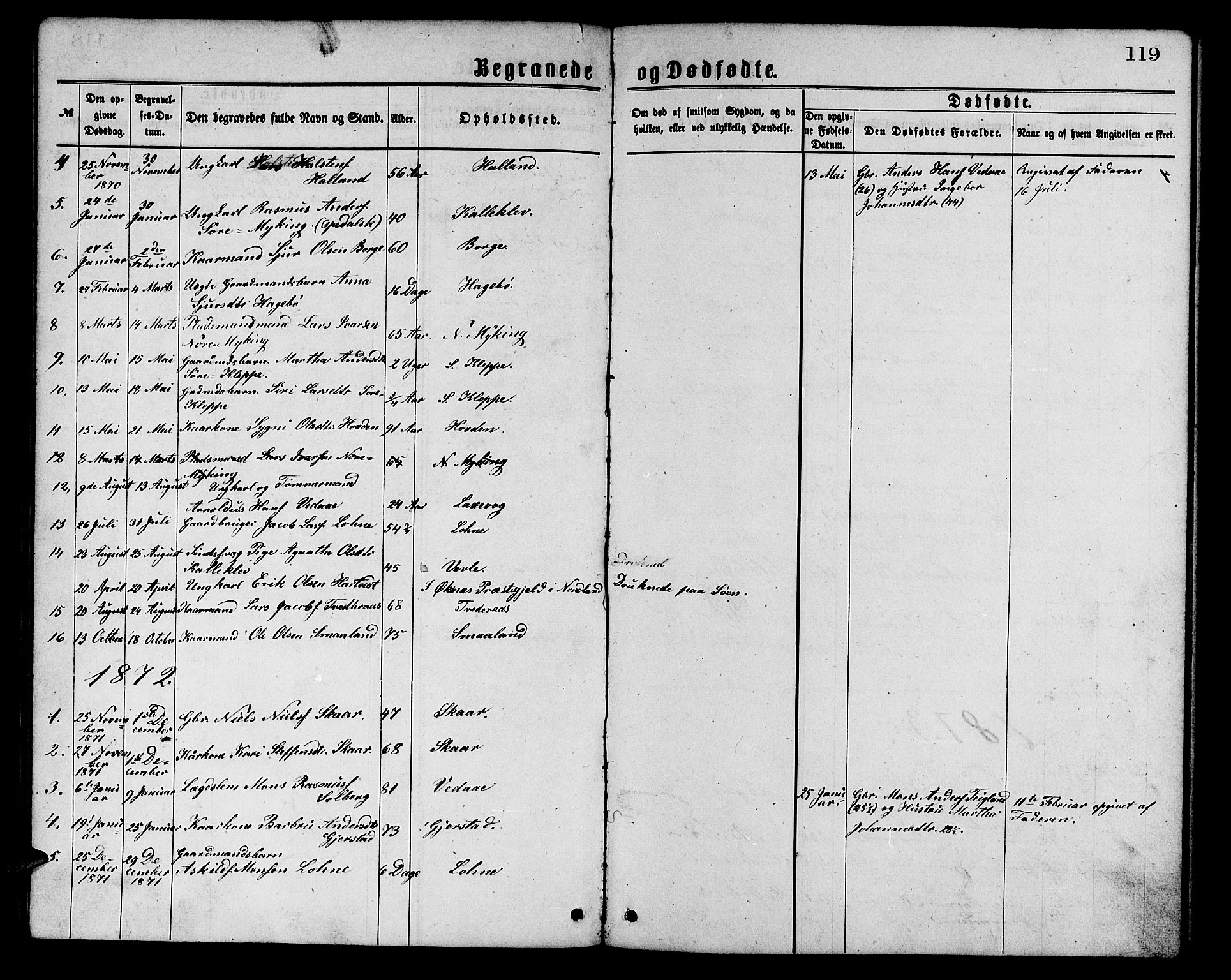 Haus sokneprestembete, SAB/A-75601/H/Hab: Parish register (copy) no. C 1, 1869-1878, p. 119