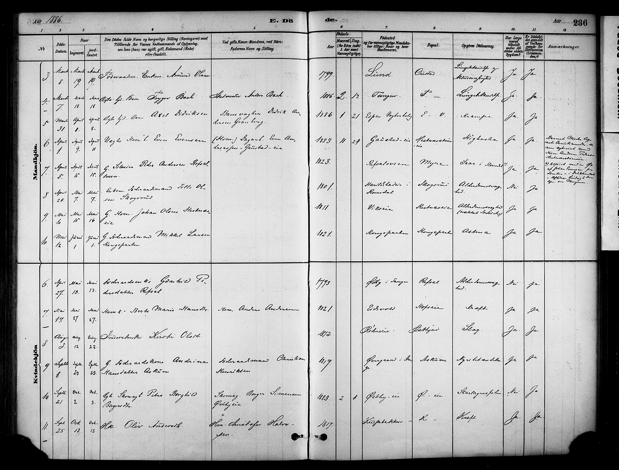 Stange prestekontor, AV/SAH-PREST-002/K/L0018: Parish register (official) no. 18, 1880-1896, p. 236