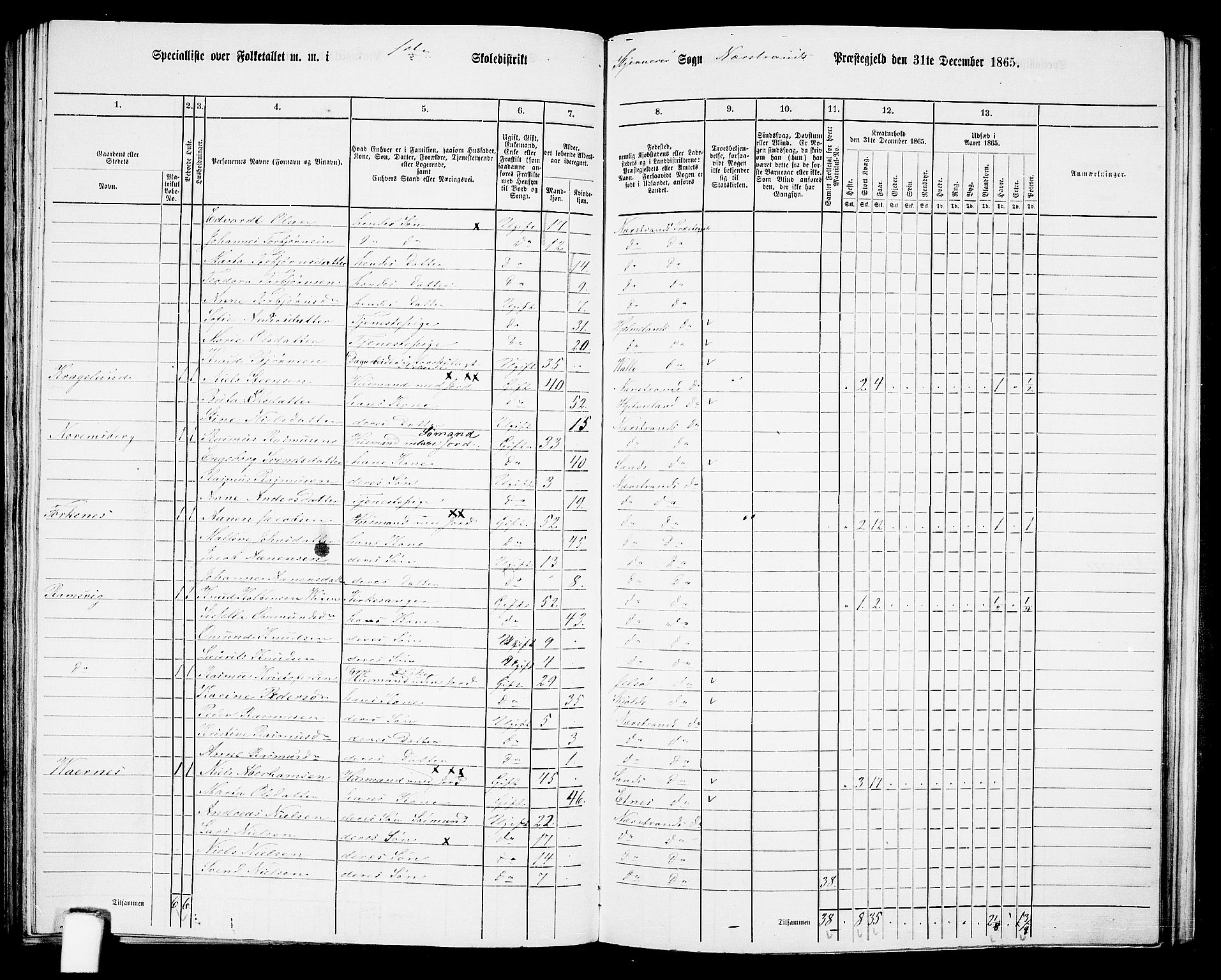 RA, 1865 census for Nedstrand, 1865, p. 83