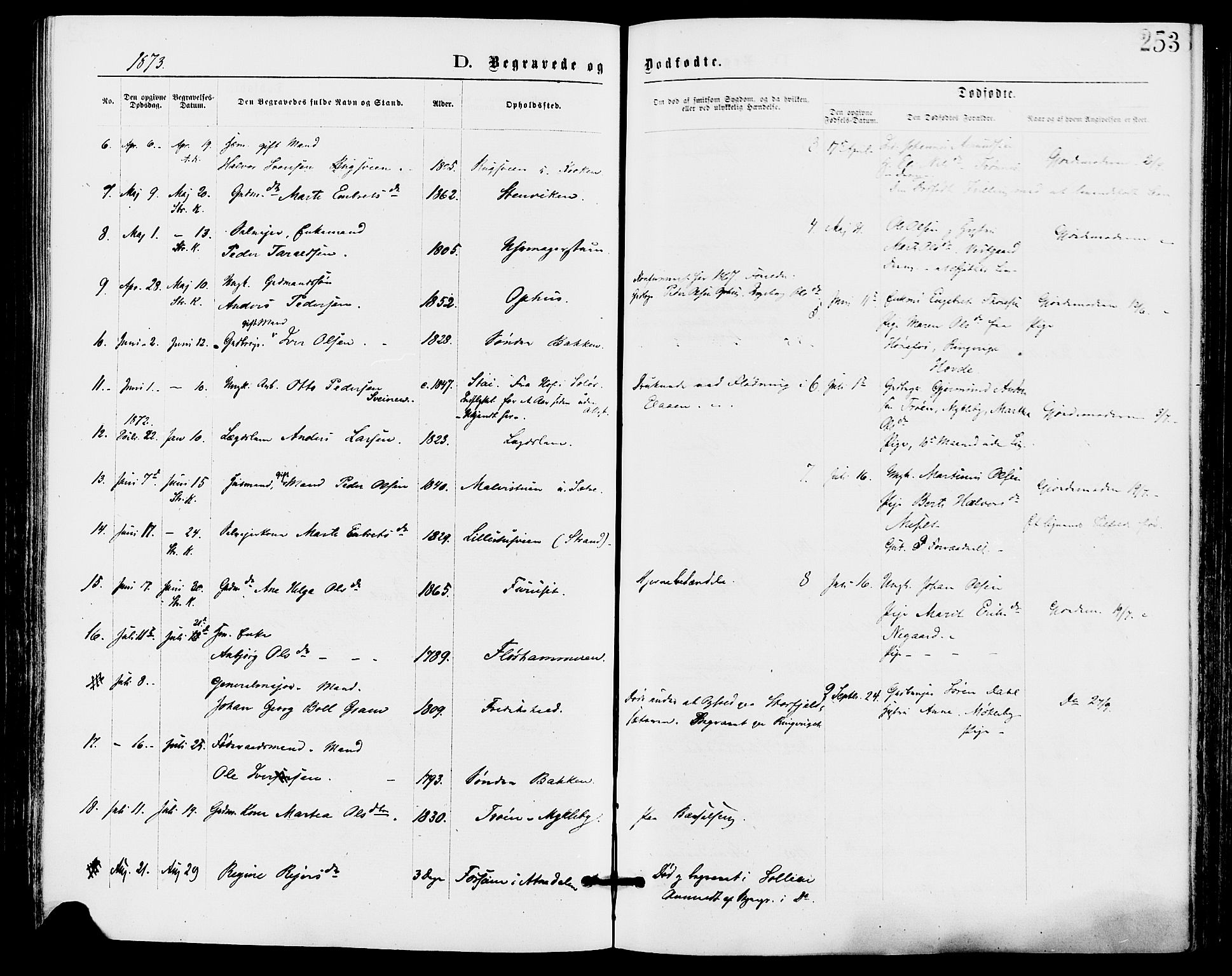Stor-Elvdal prestekontor, SAH/PREST-052/H/Ha/Haa/L0001: Parish register (official) no. 1, 1871-1882, p. 253