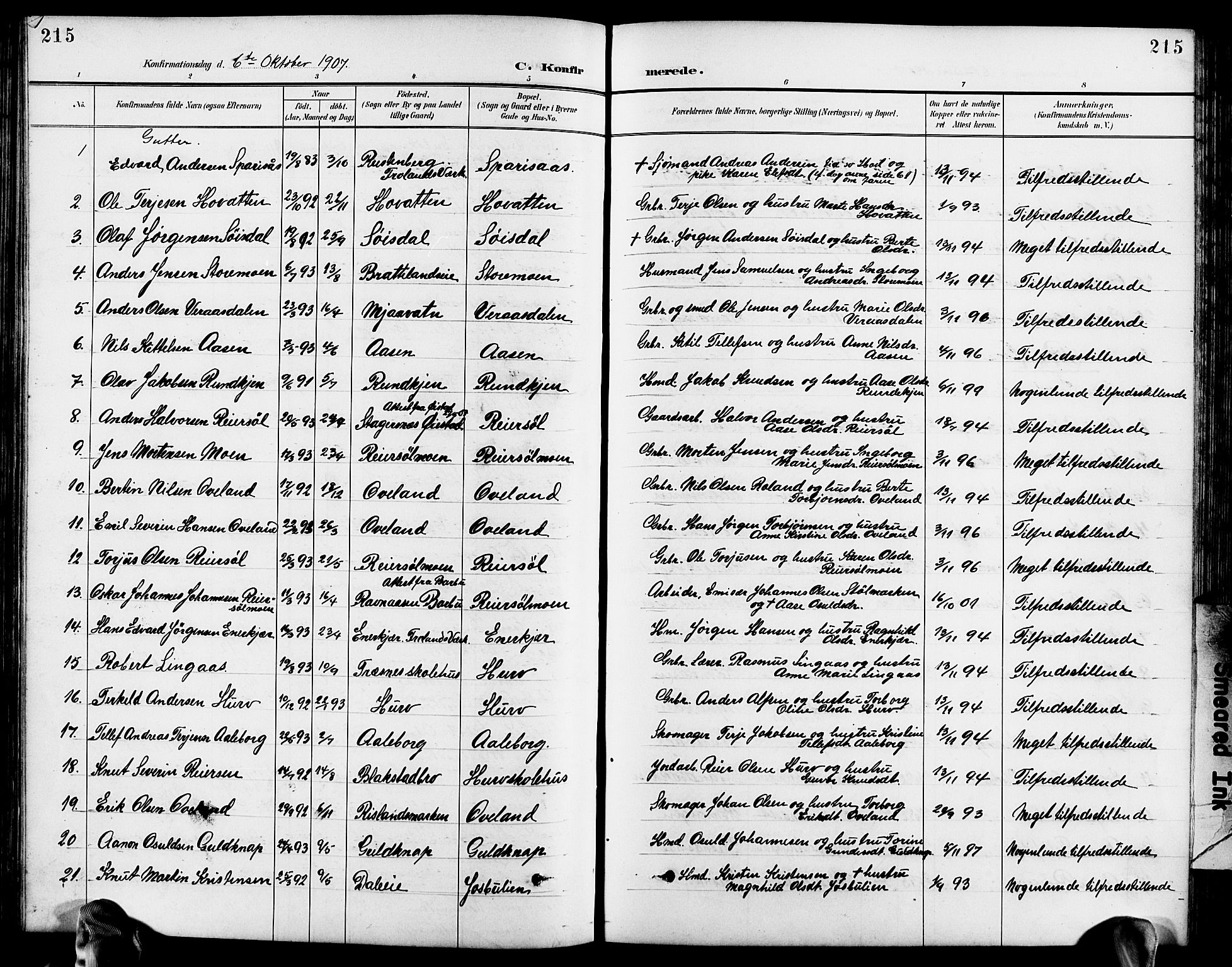 Froland sokneprestkontor, SAK/1111-0013/F/Fb/L0010: Parish register (copy) no. B 10, 1893-1920, p. 215