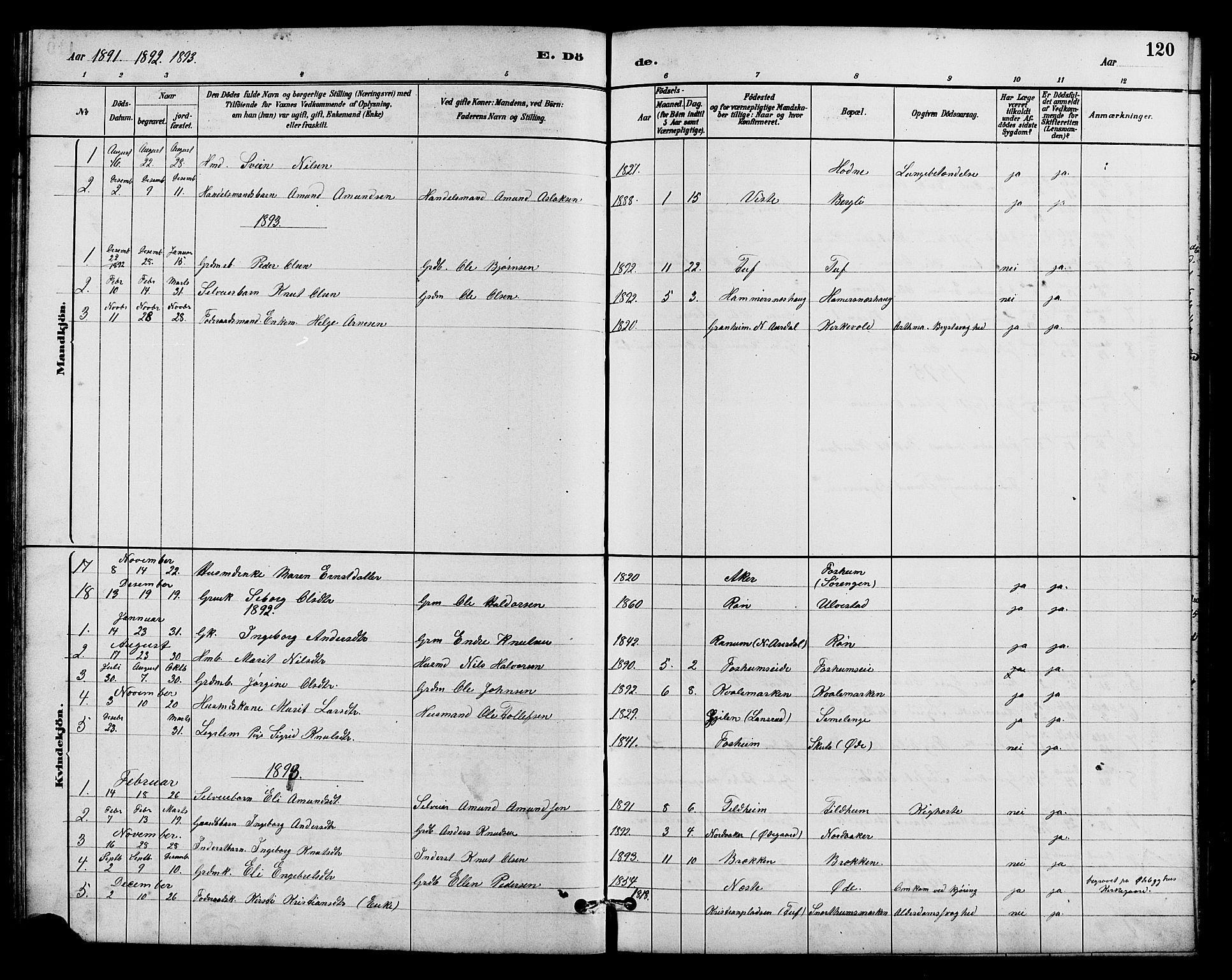 Vestre Slidre prestekontor, SAH/PREST-136/H/Ha/Hab/L0005: Parish register (copy) no. 5, 1881-1913, p. 120