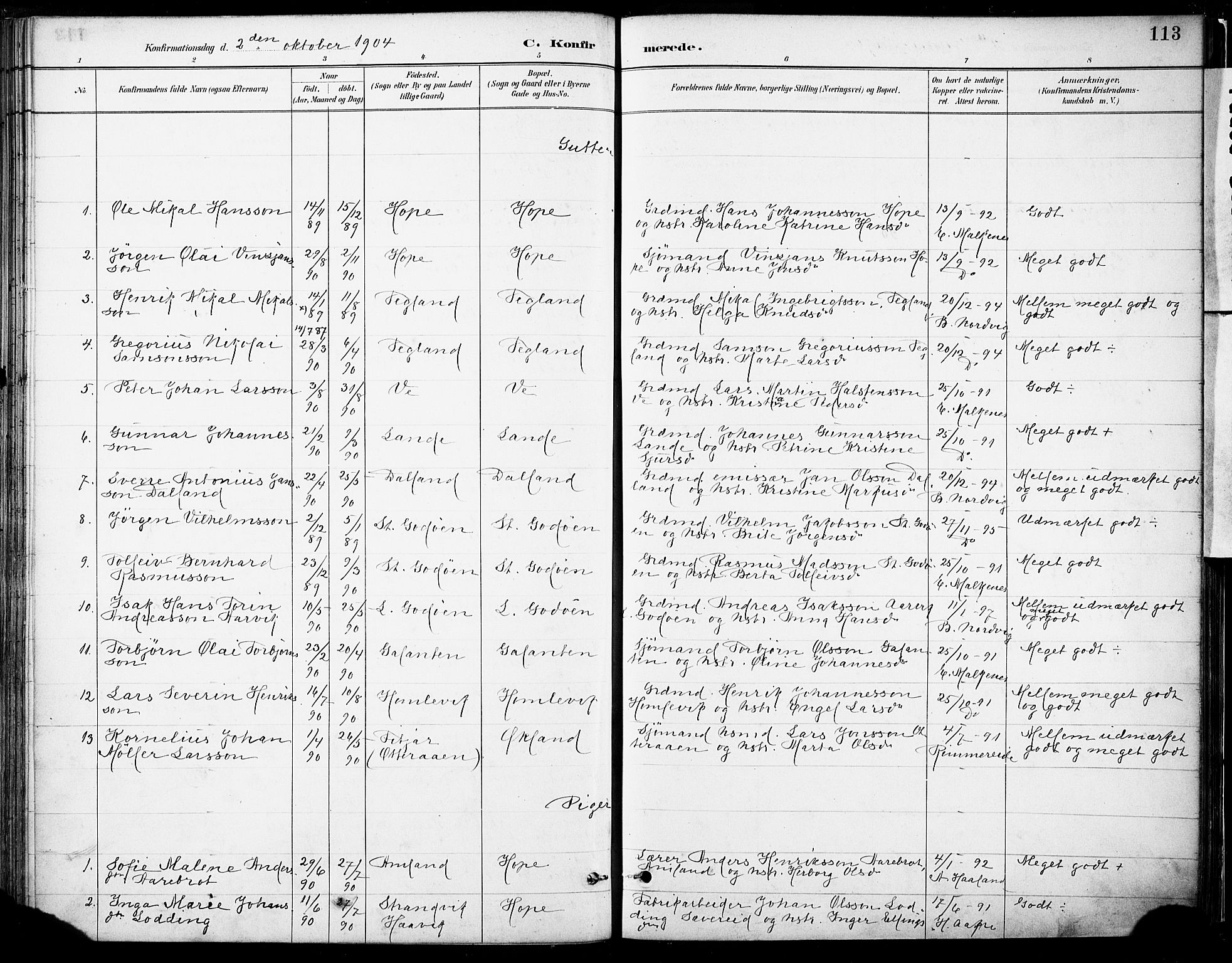 Tysnes sokneprestembete, SAB/A-78601/H/Haa: Parish register (official) no. B 1, 1887-1906, p. 113