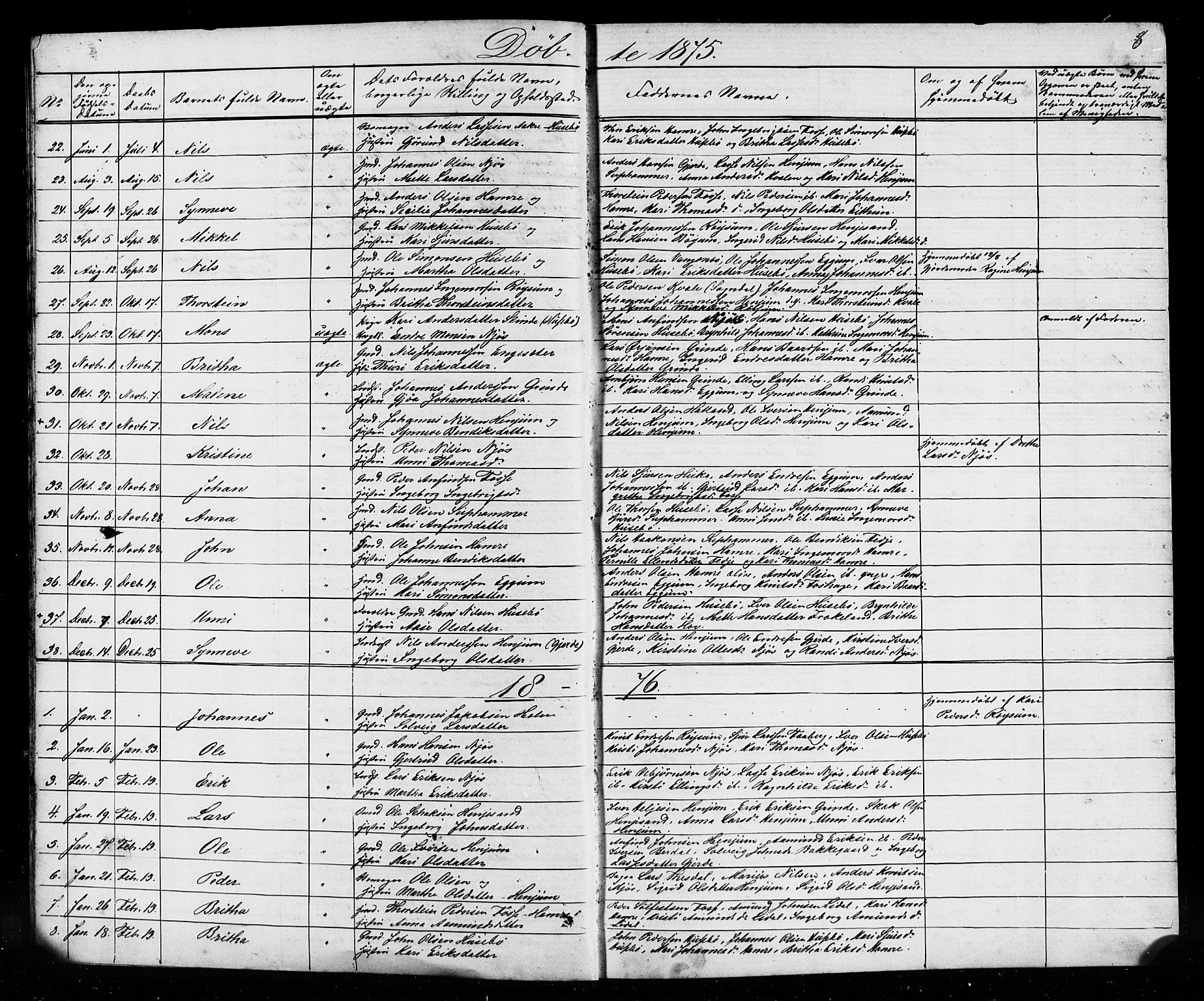 Leikanger sokneprestembete, SAB/A-81001: Parish register (copy) no. A 1, 1873-1916, p. 8