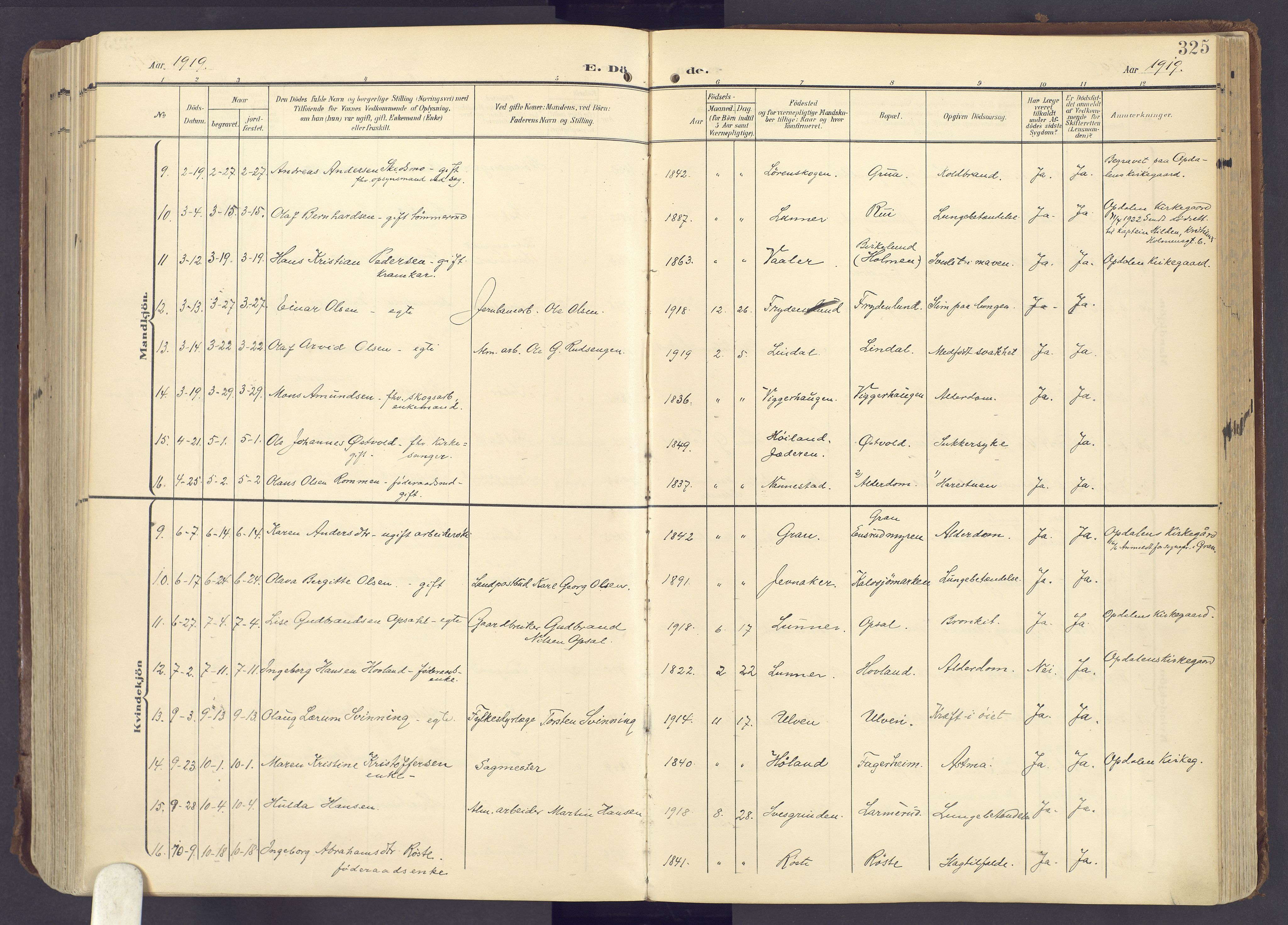 Lunner prestekontor, SAH/PREST-118/H/Ha/Haa/L0001: Parish register (official) no. 1, 1907-1922, p. 325