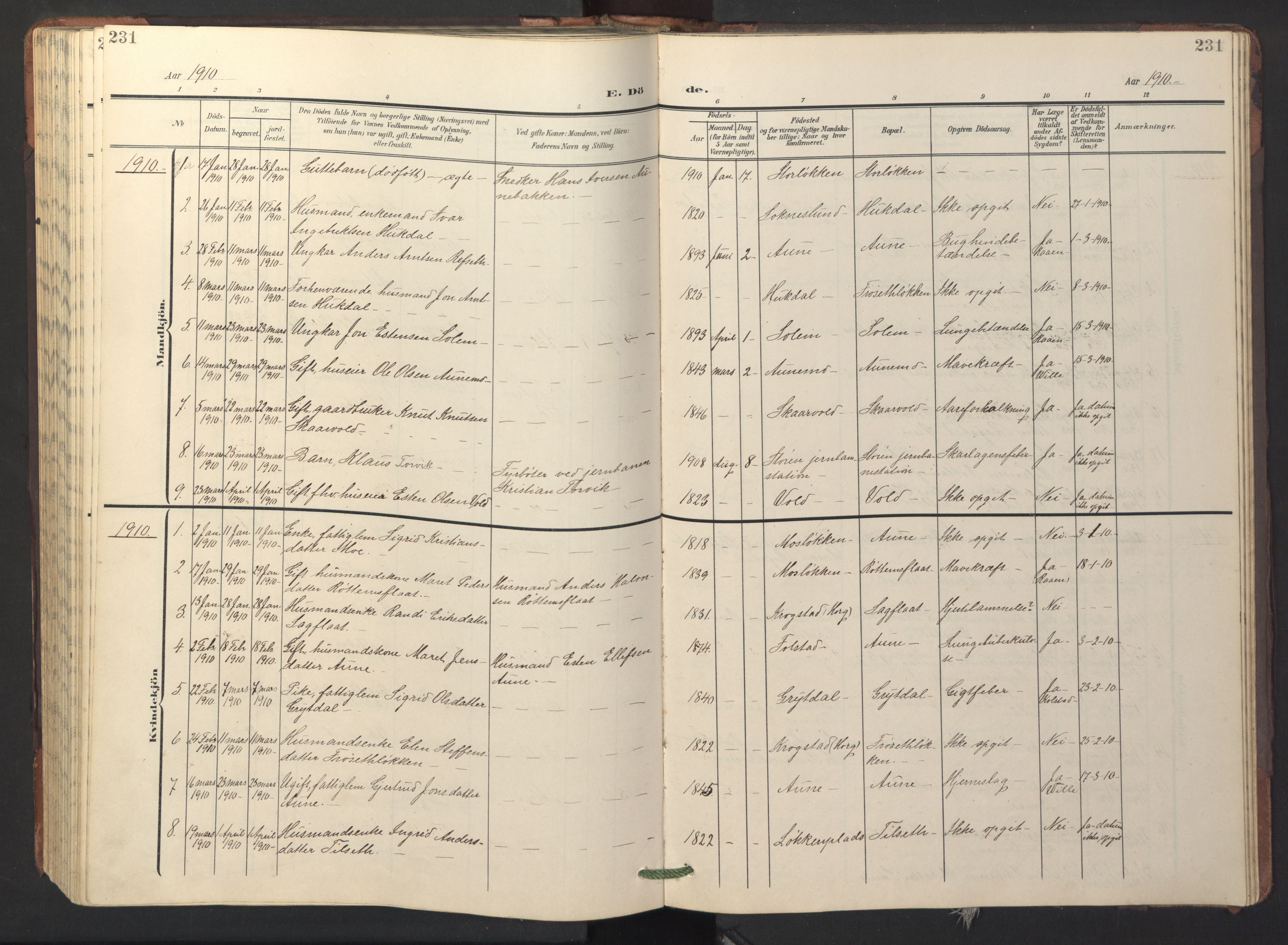 Ministerialprotokoller, klokkerbøker og fødselsregistre - Sør-Trøndelag, SAT/A-1456/687/L1019: Parish register (copy) no. 687C03, 1904-1931, p. 231