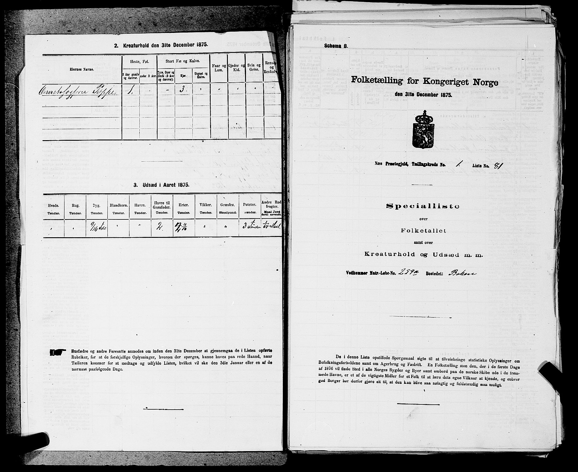 SAKO, 1875 census for 0616P Nes, 1875, p. 57