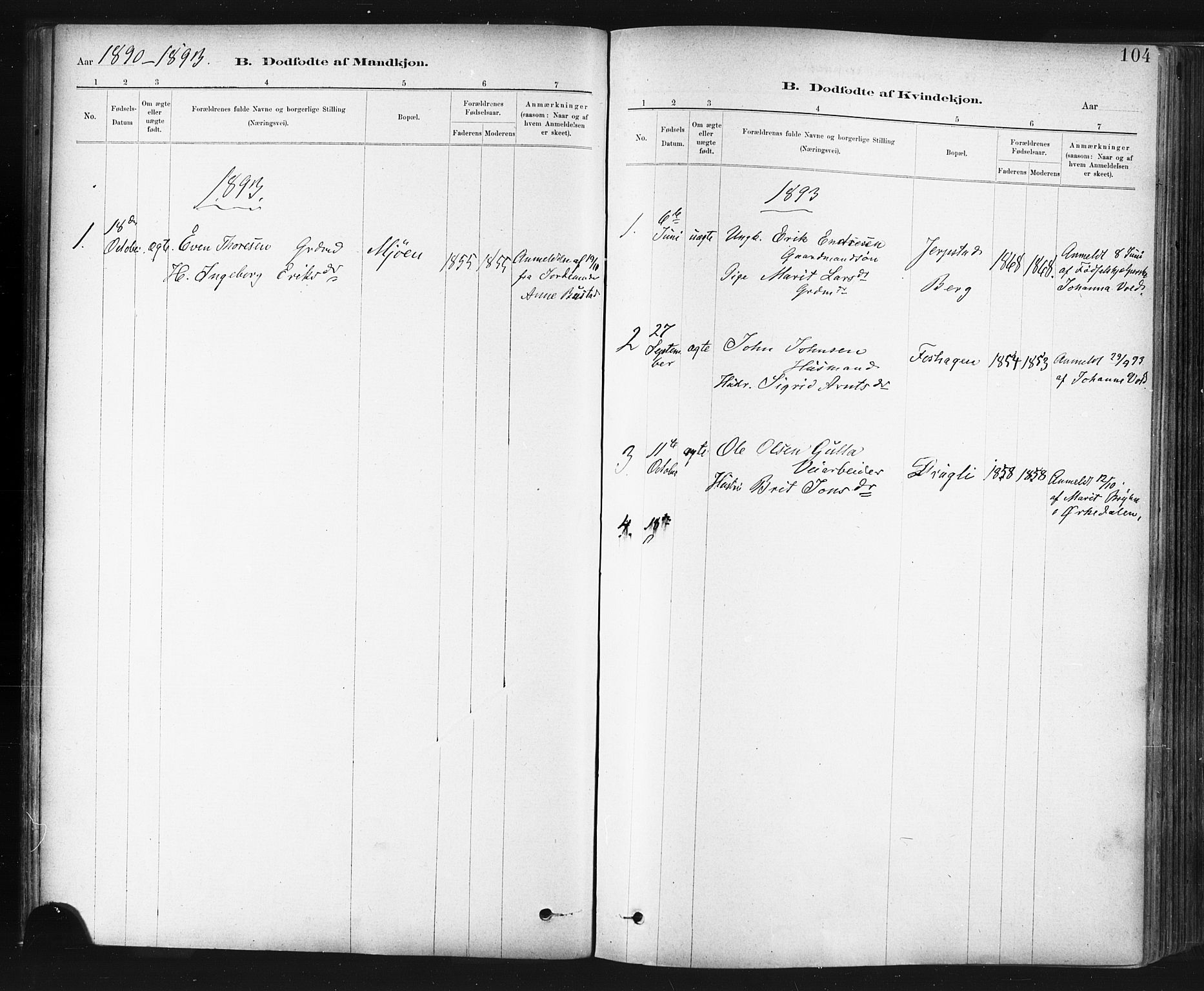 Ministerialprotokoller, klokkerbøker og fødselsregistre - Sør-Trøndelag, SAT/A-1456/672/L0857: Parish register (official) no. 672A09, 1882-1893, p. 104