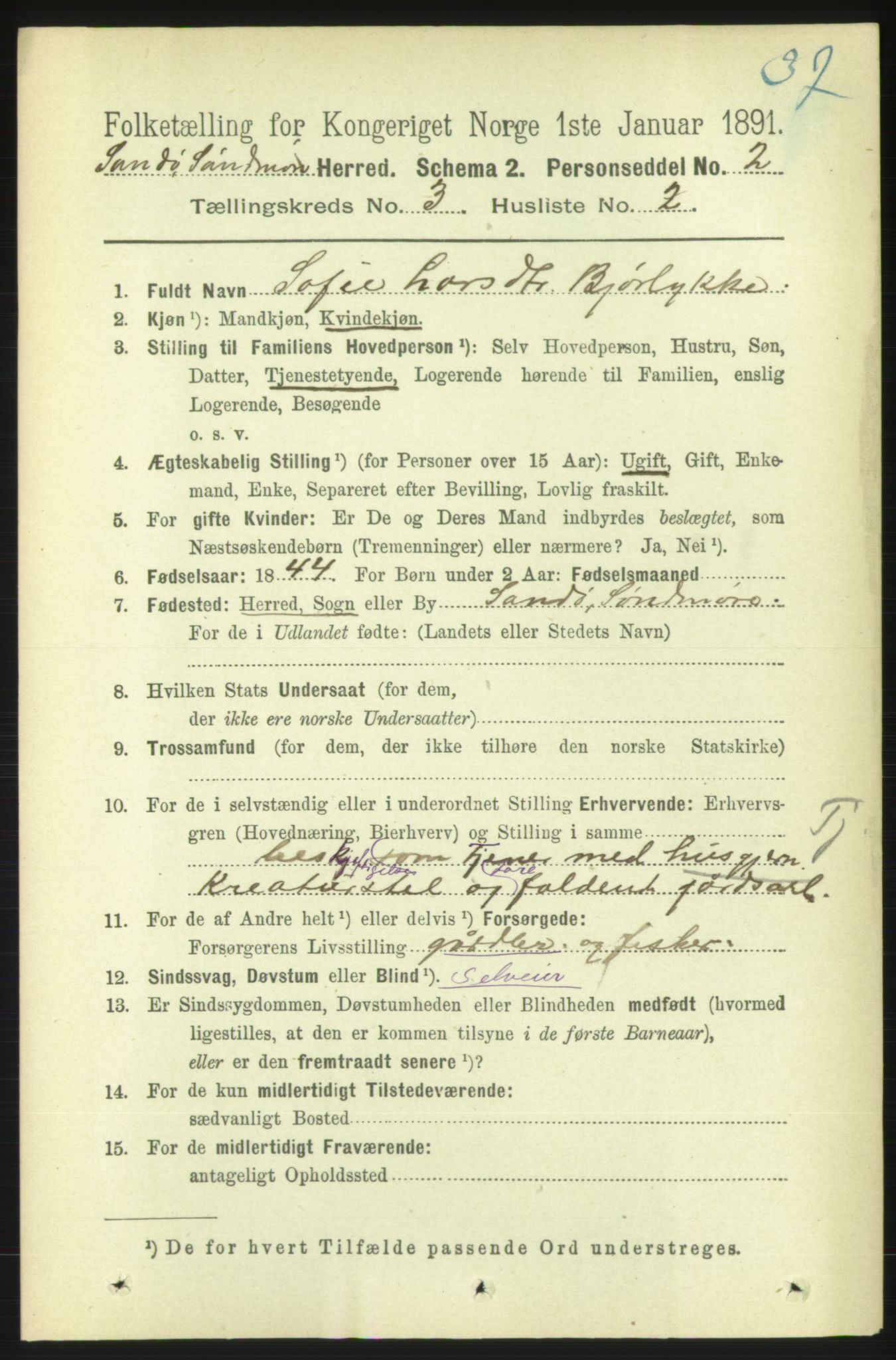 RA, 1891 census for 1514 Sande, 1891, p. 462