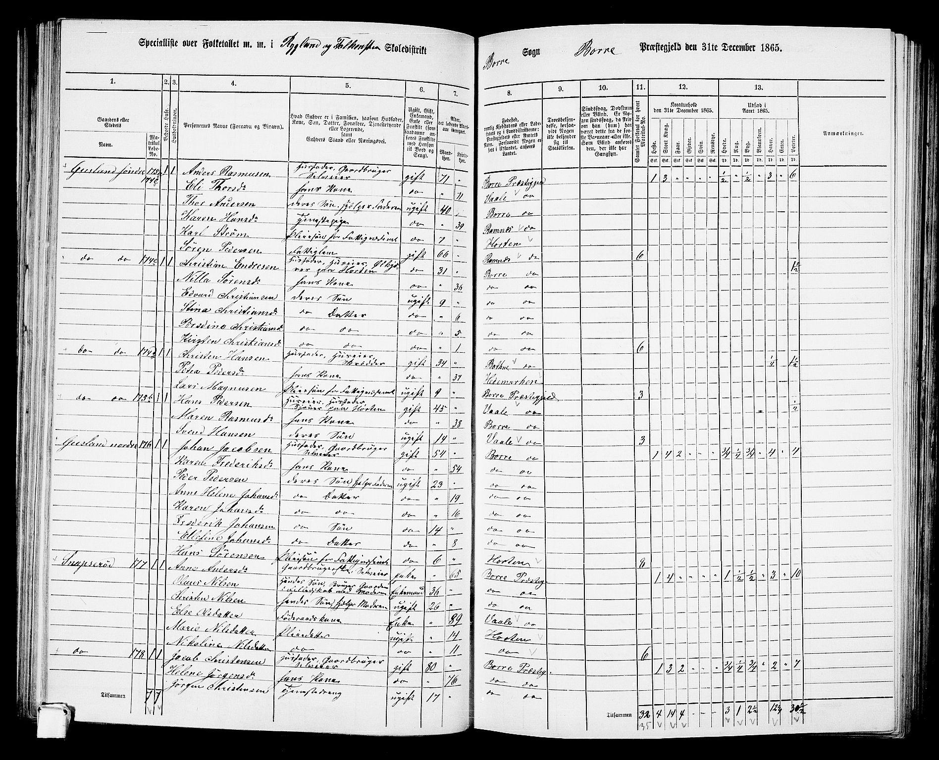 RA, 1865 census for Borre, 1865, p. 117