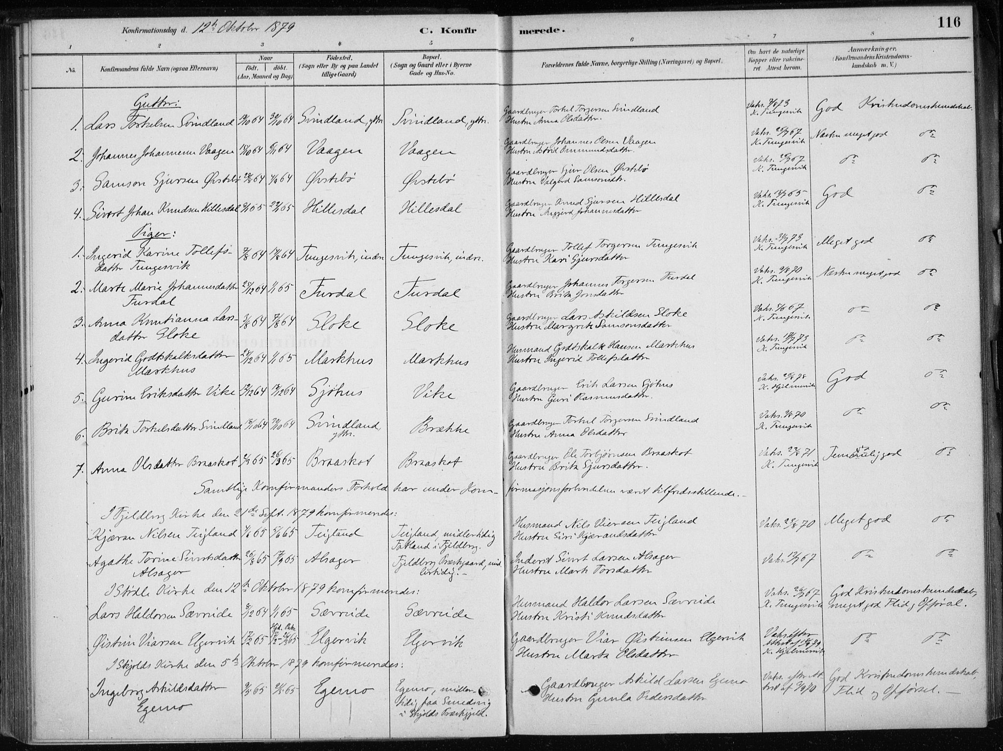 Skånevik sokneprestembete, AV/SAB-A-77801/H/Haa: Parish register (official) no. E  1, 1879-1901, p. 116