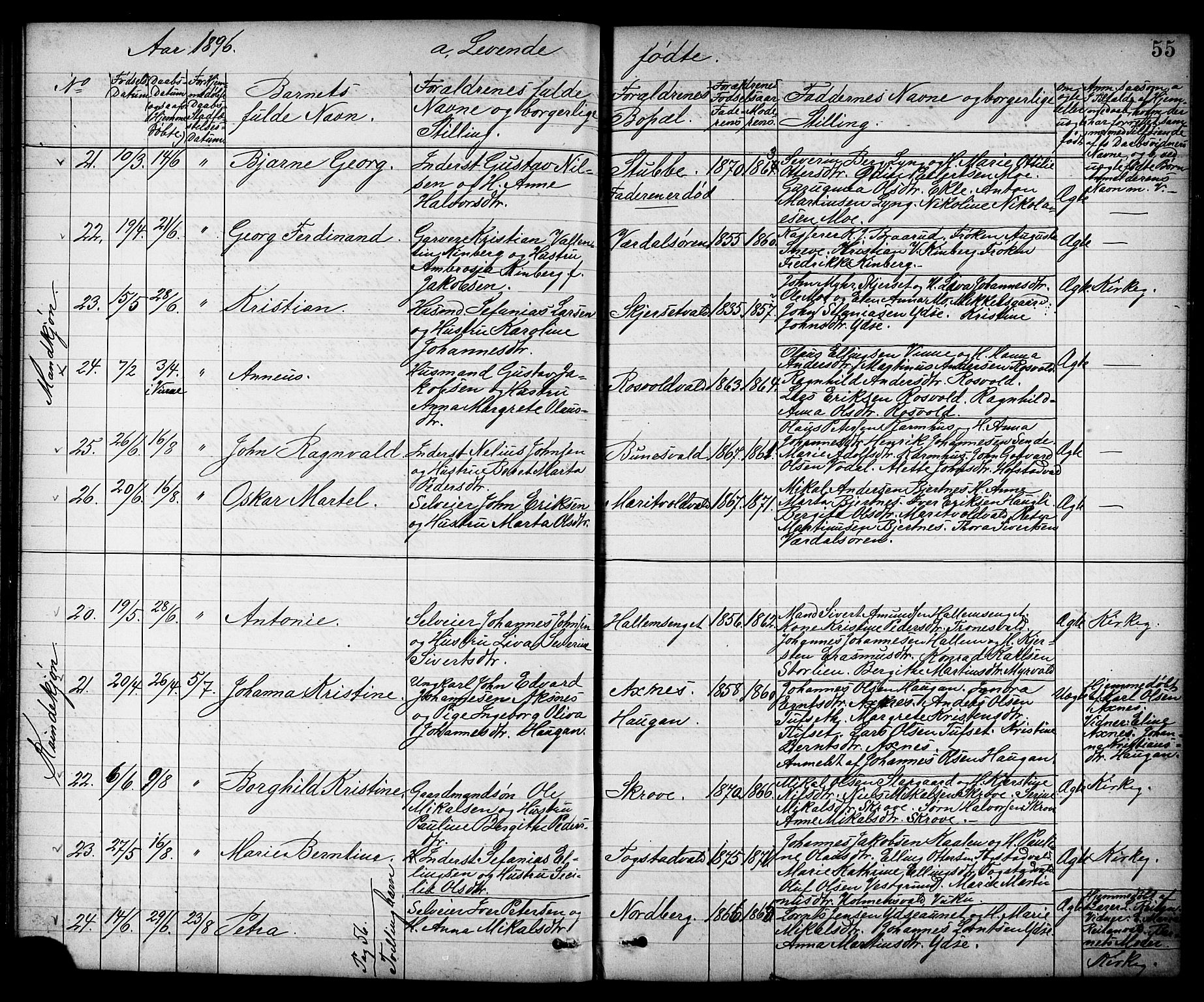 Ministerialprotokoller, klokkerbøker og fødselsregistre - Nord-Trøndelag, AV/SAT-A-1458/723/L0257: Parish register (copy) no. 723C05, 1890-1907, p. 55